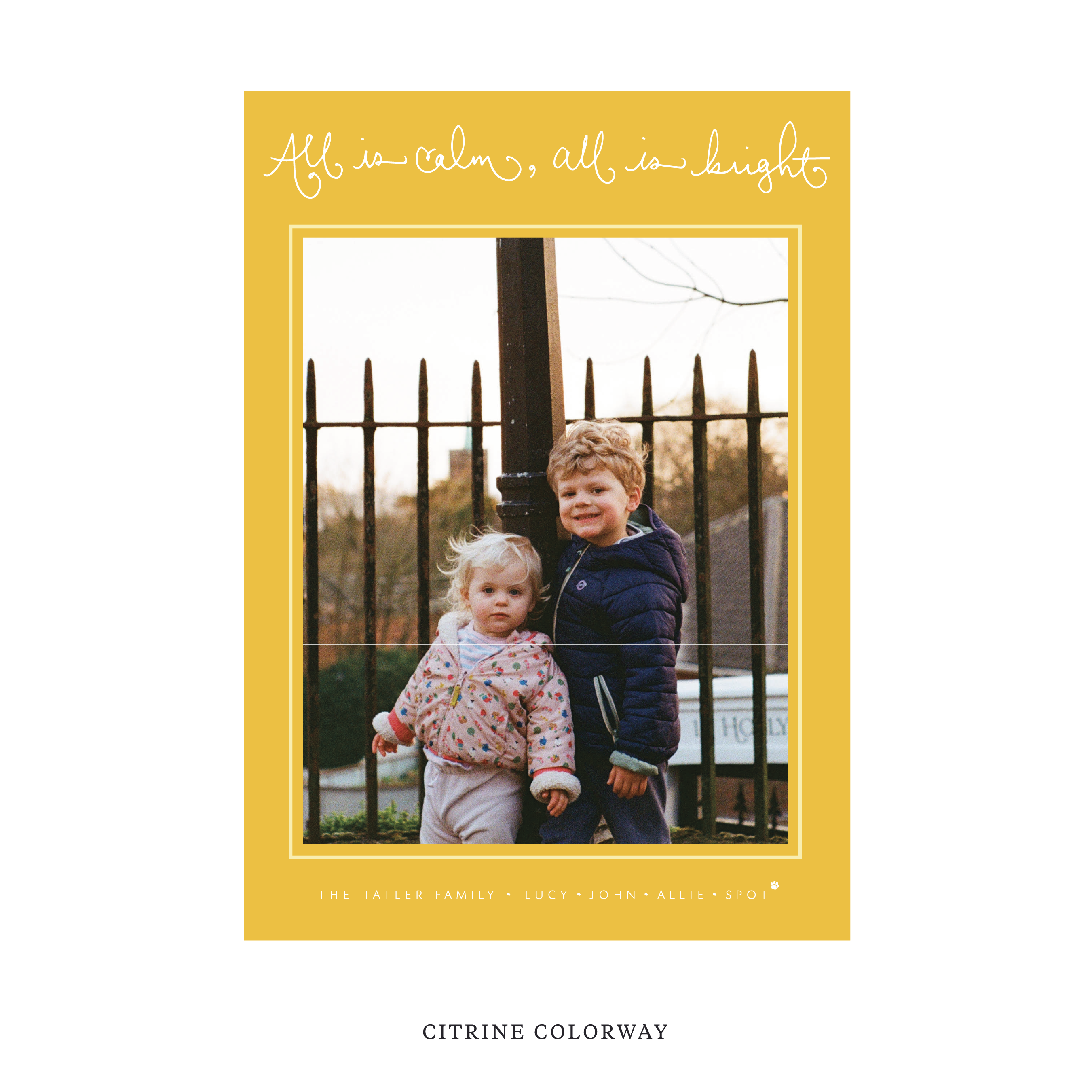 Tatler Classic Flat Print Holiday Card, Large