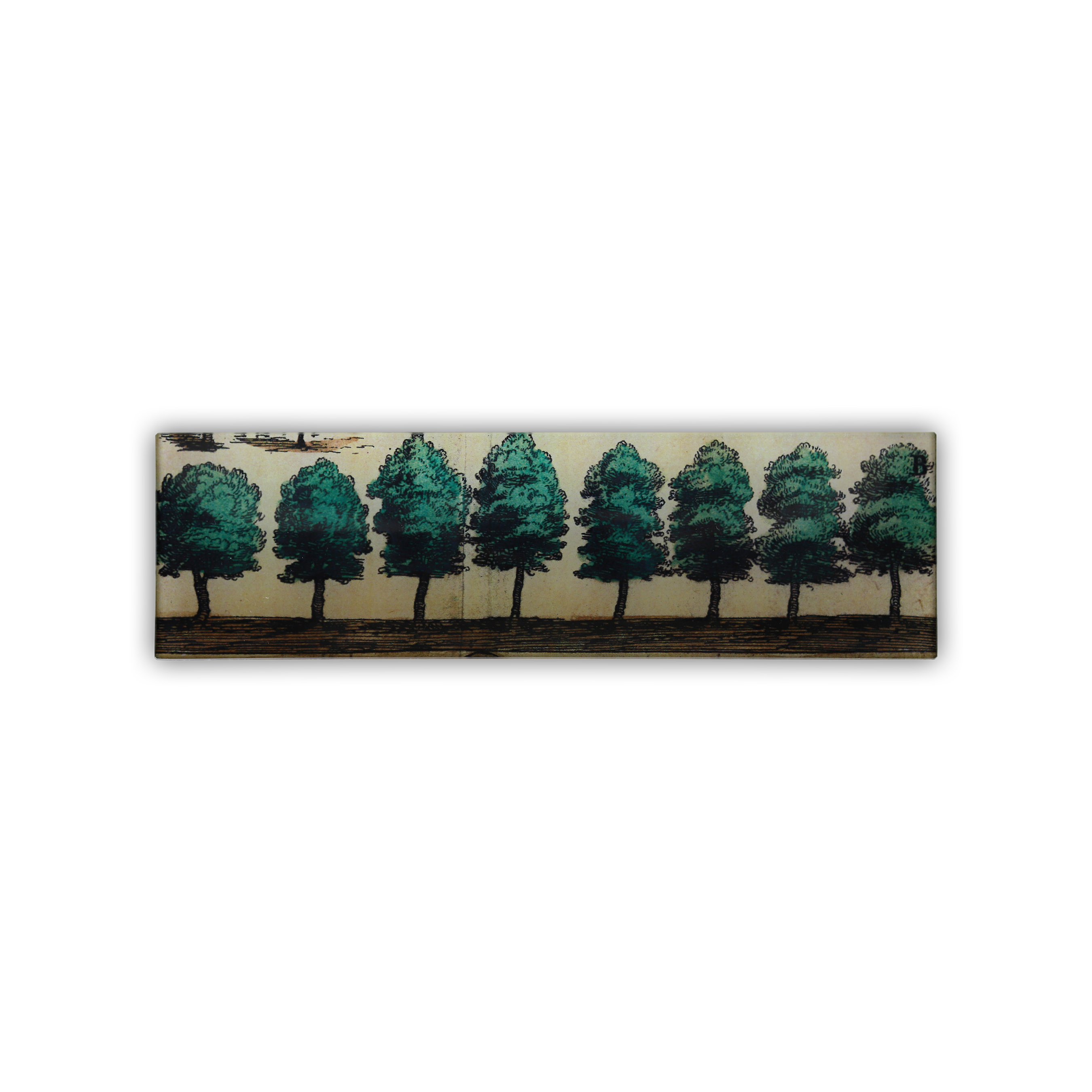 John Derian “Allée” 3.5" x 12" Extra Long Tray
