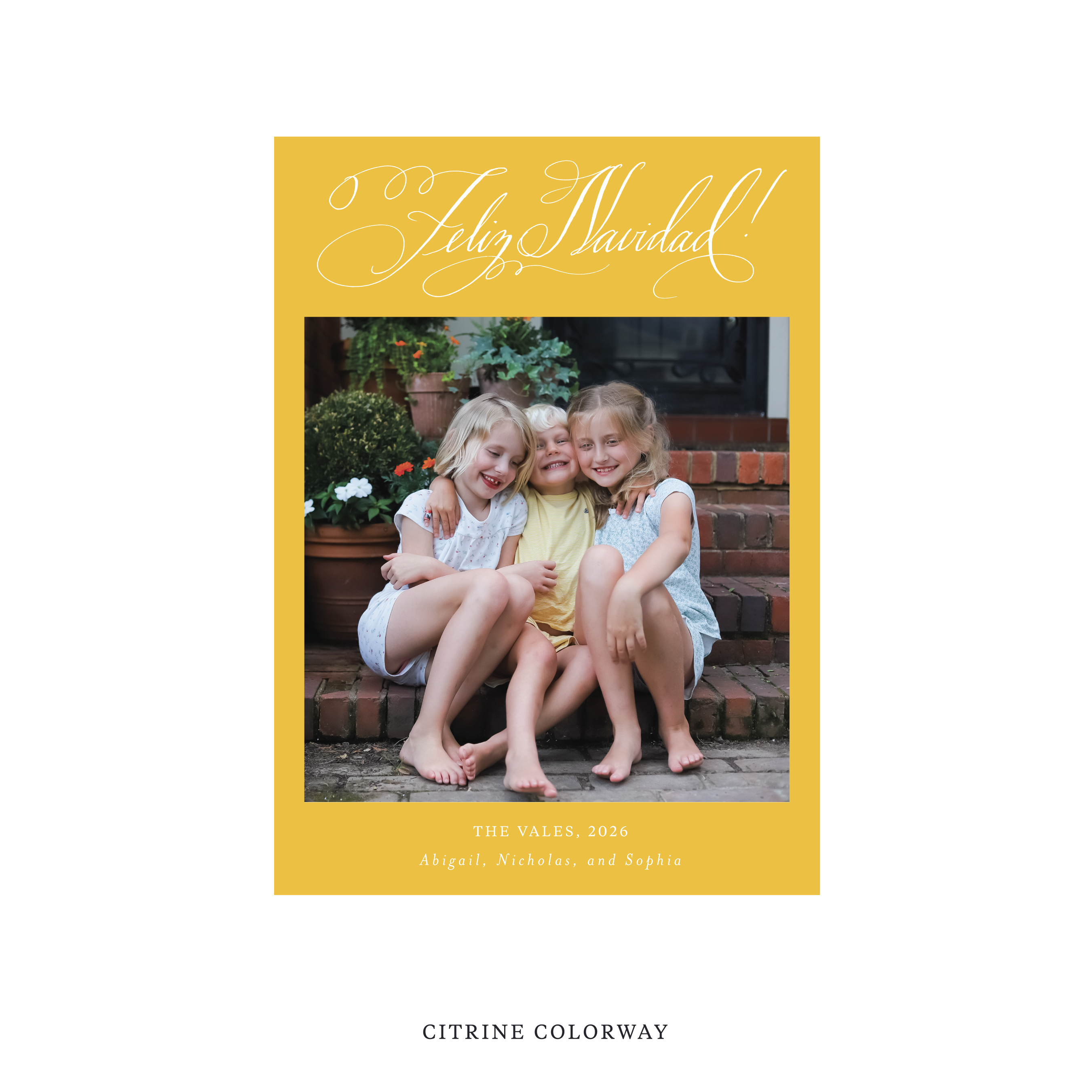 Vale Classic Flat Print Holiday Card, Medium