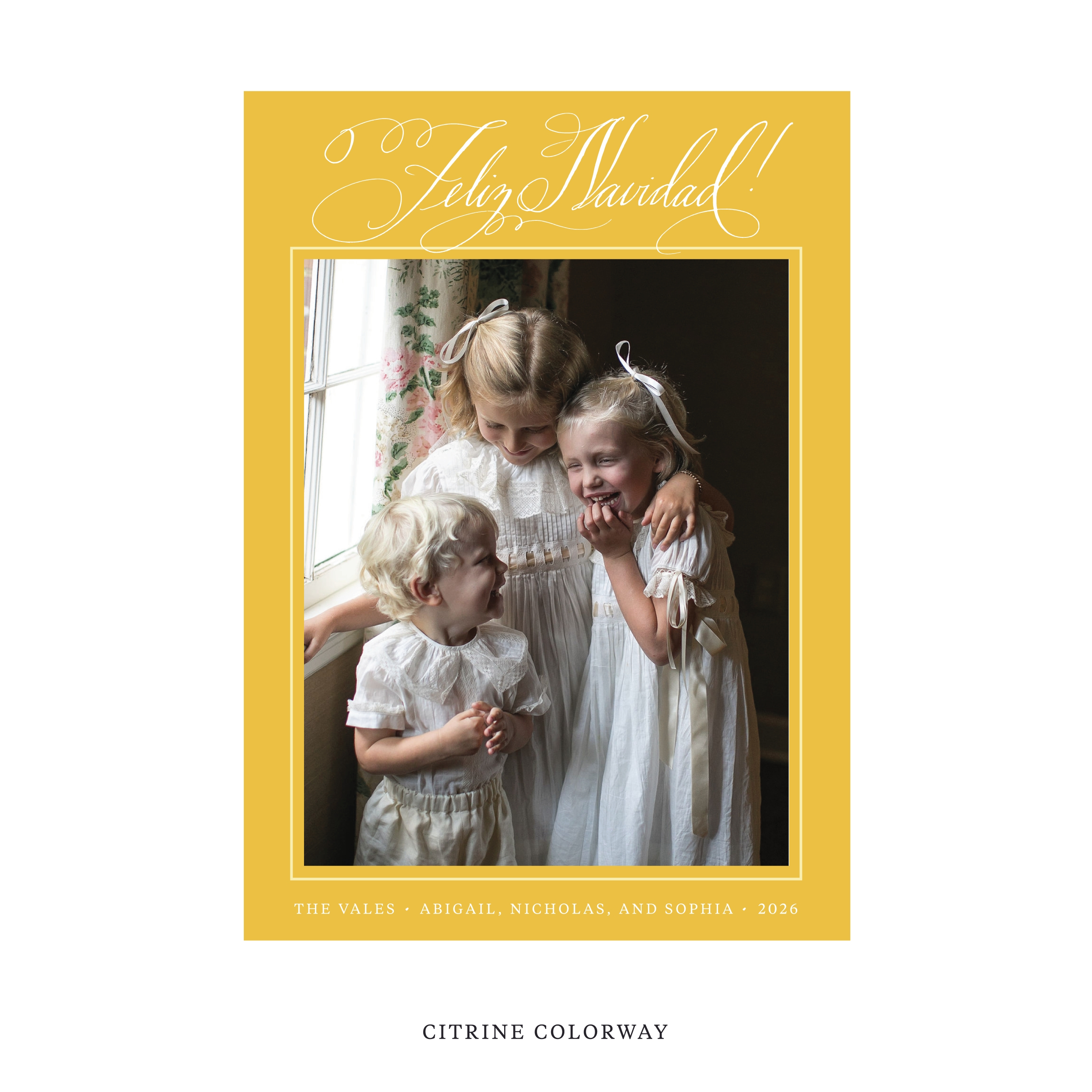 Vale Classic Flat Print Holiday Card, Large