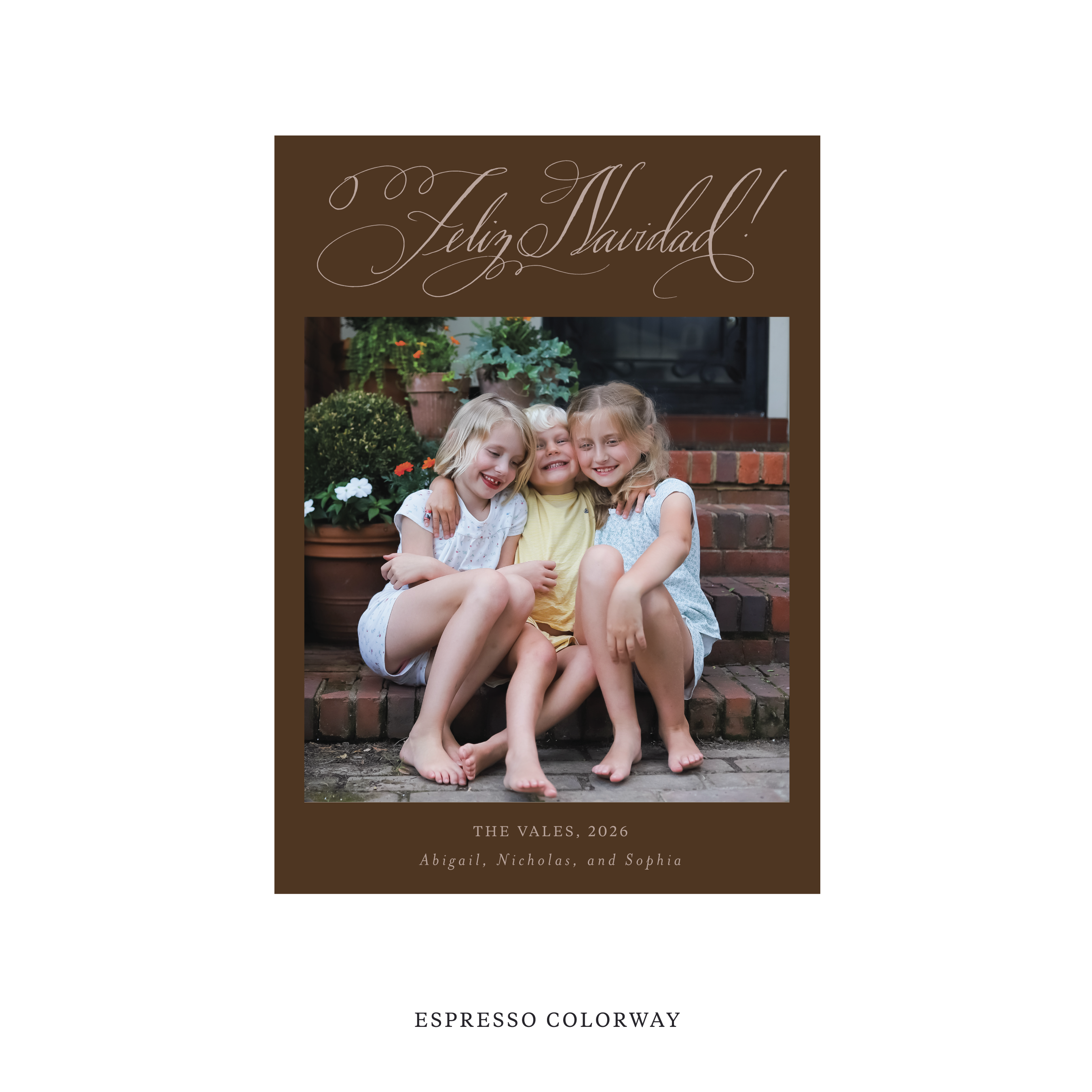 Vale Classic Flat Print Holiday Card, Medium