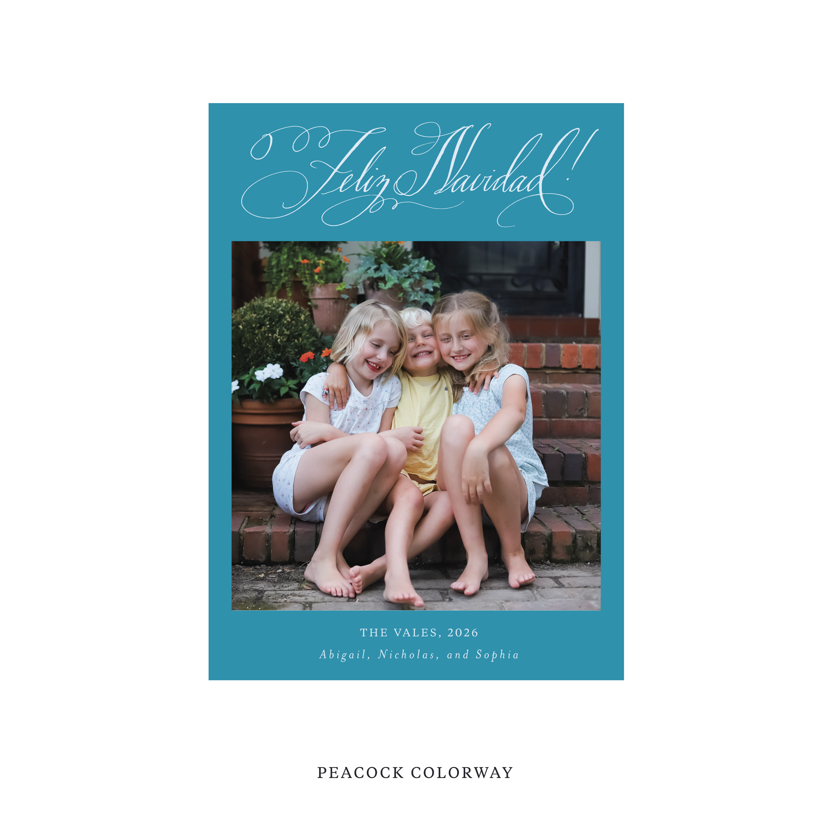 Vale Classic Flat Print Holiday Card, Medium