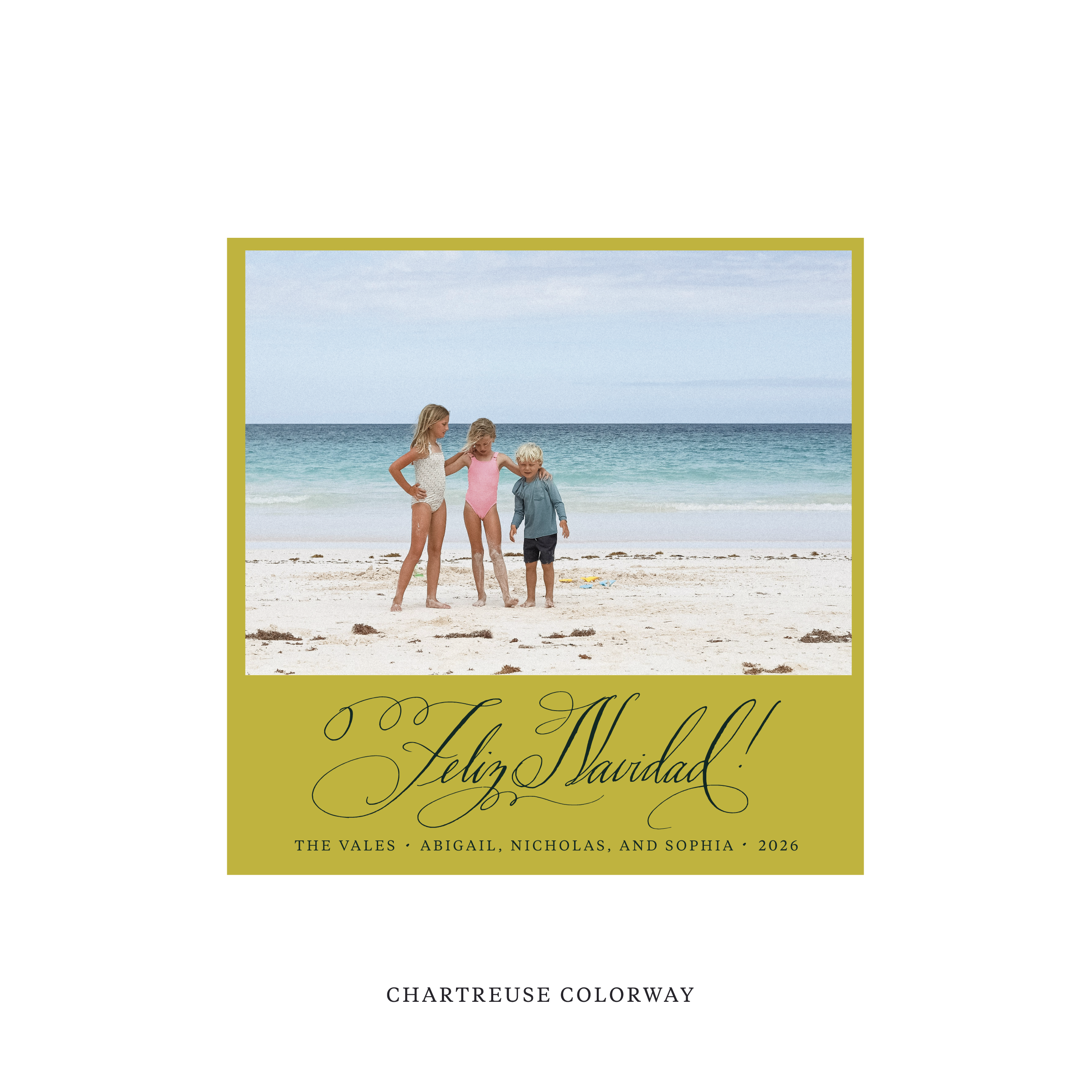 Vale Classic Flat Print Holiday Card, Square