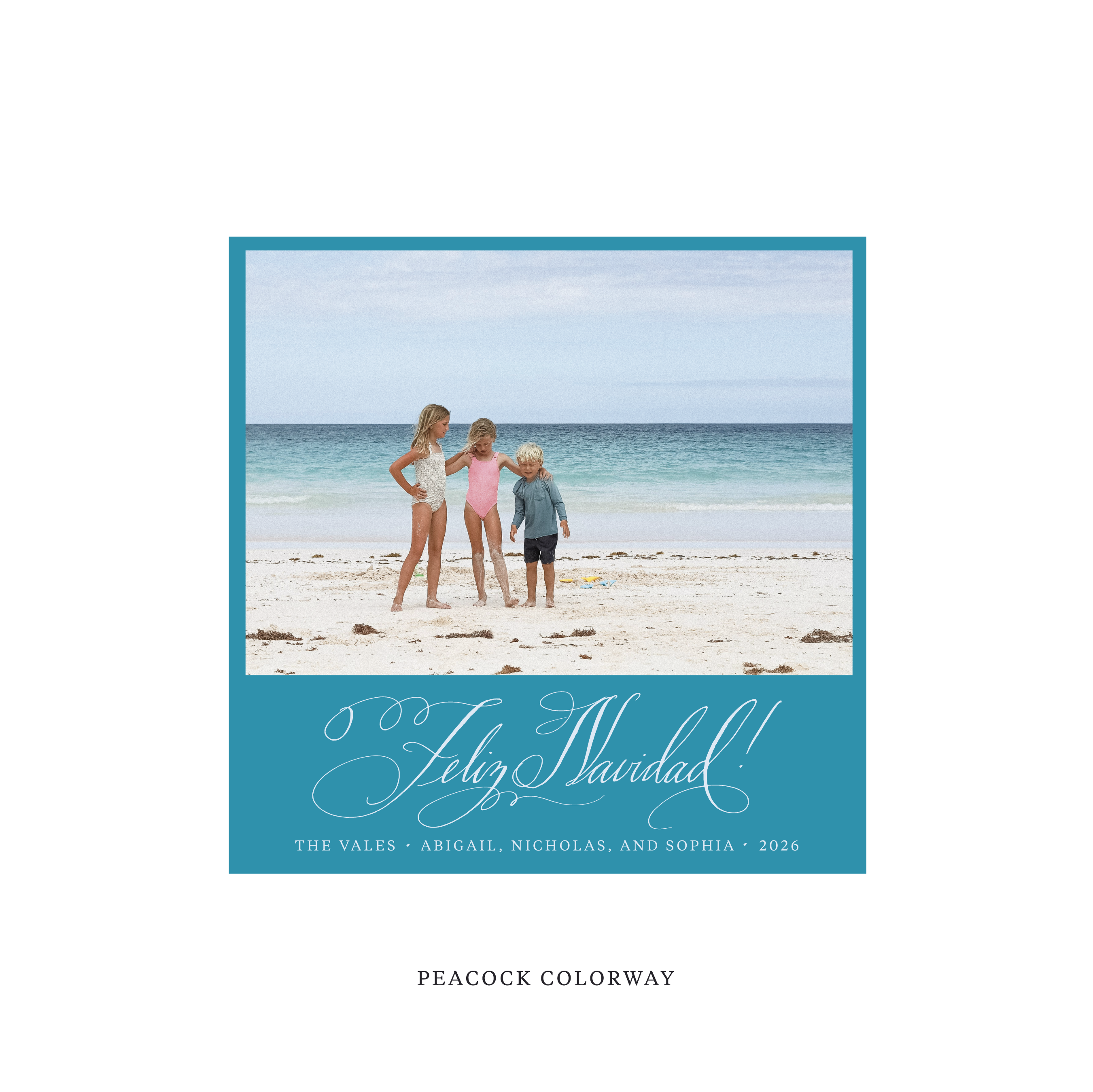 Vale Classic Flat Print Holiday Card, Square