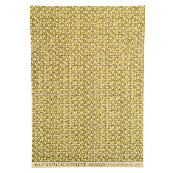 Patterned Paper Animalcules Bawden Green Sheets (Set of 3)