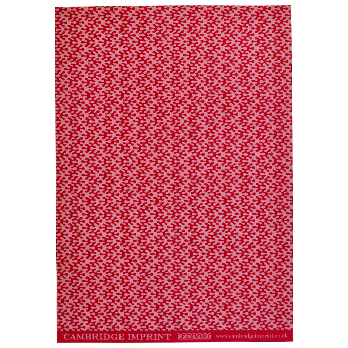 Patterned Paper Kelp Raspberry Ripple Sheets (Set of 3)