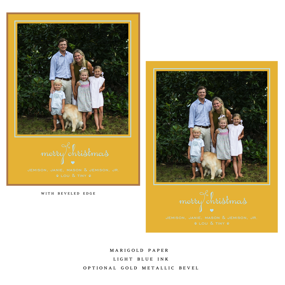 Estelle Small Luxe Holiday Card