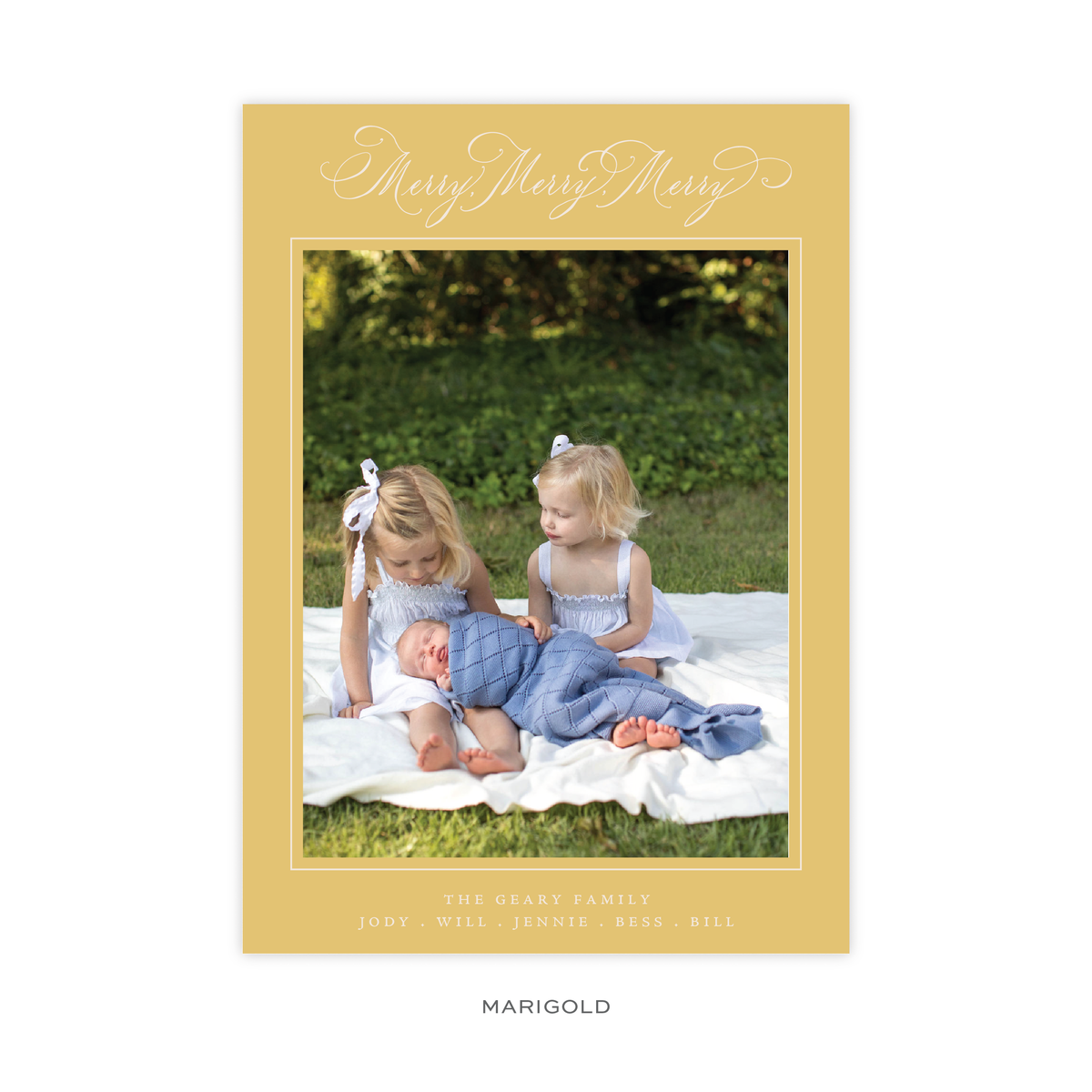 Ludlow Classic Flat Print Holiday Card, Large (Archive)