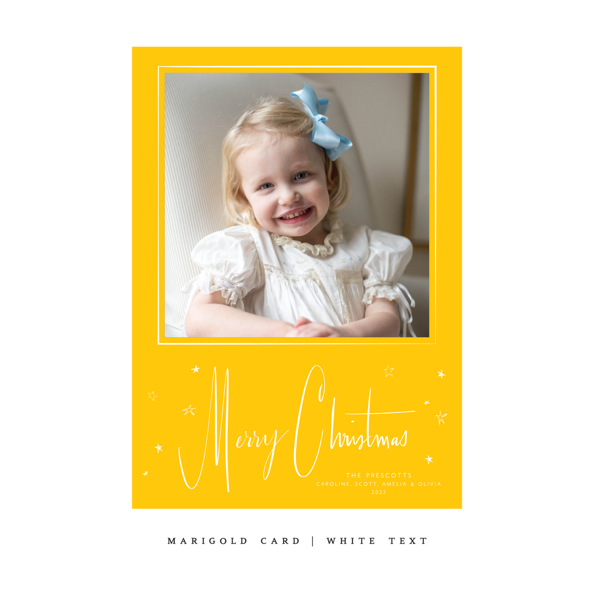 Norcross Classic Flat Print Holiday Card, Large (Archive)