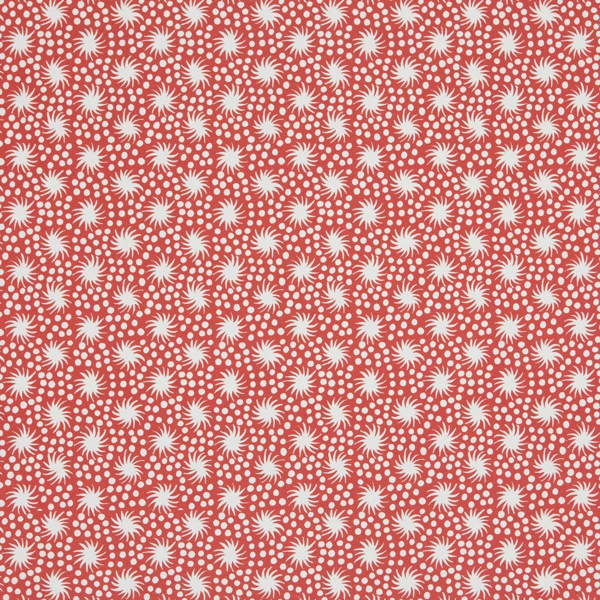 Patterned Paper Animalcules Coral Sheets (Set of 3)