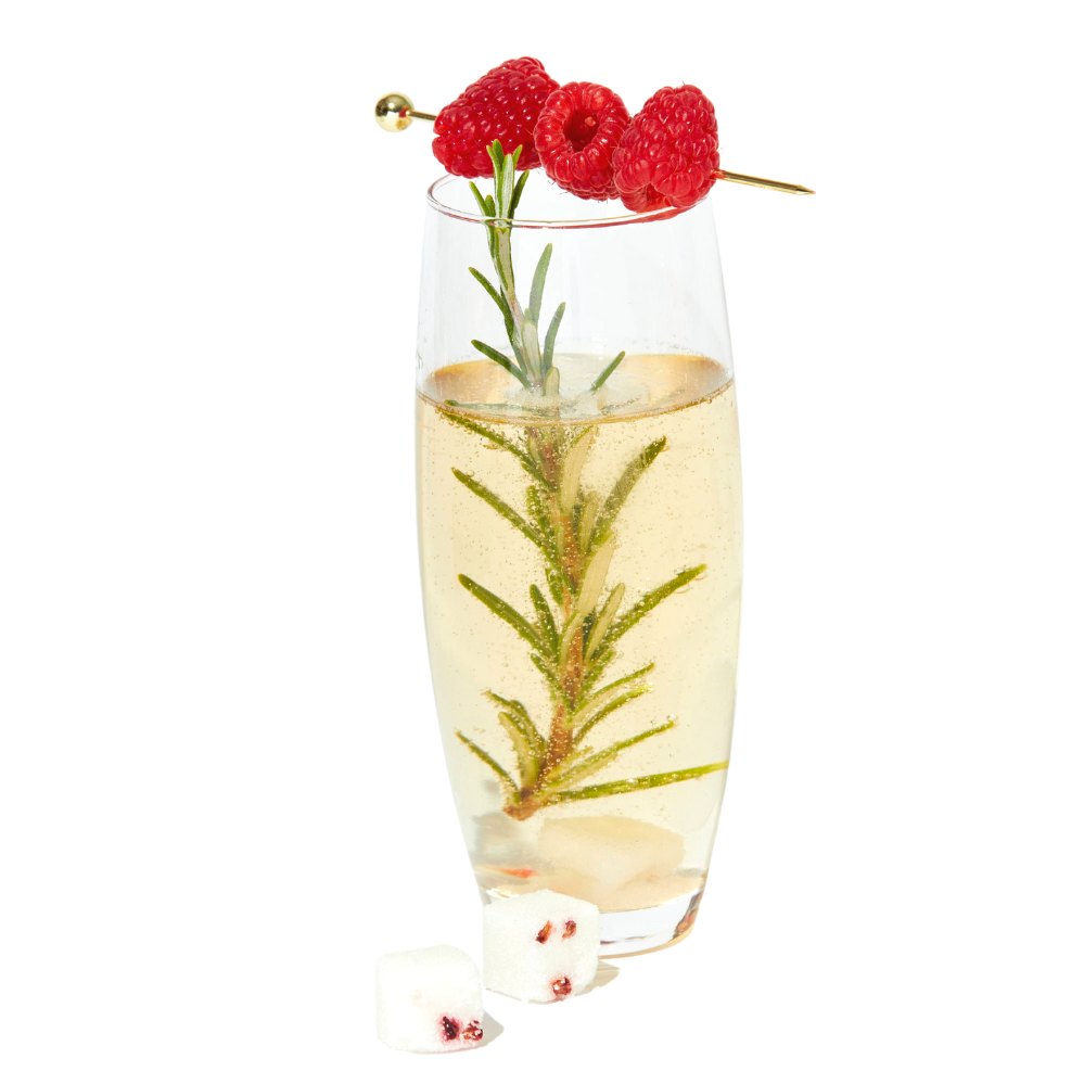 Raspberry Mixology Mini Cube