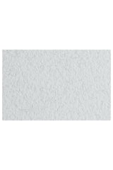 Fabriano Tiziano Drawing Paper Pack, 20 in x 26 in, 98 lb: Moss Green