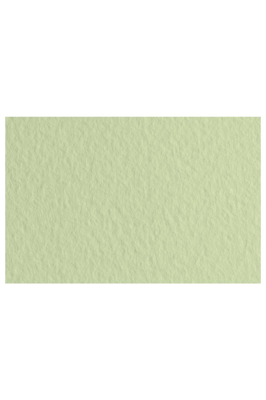 Fabriano Tiziano Drawing Paper Pack, 20 in x 26 in, 98 lb: Billiard Green