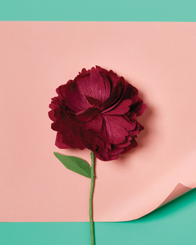 Paper Flower Making Kit