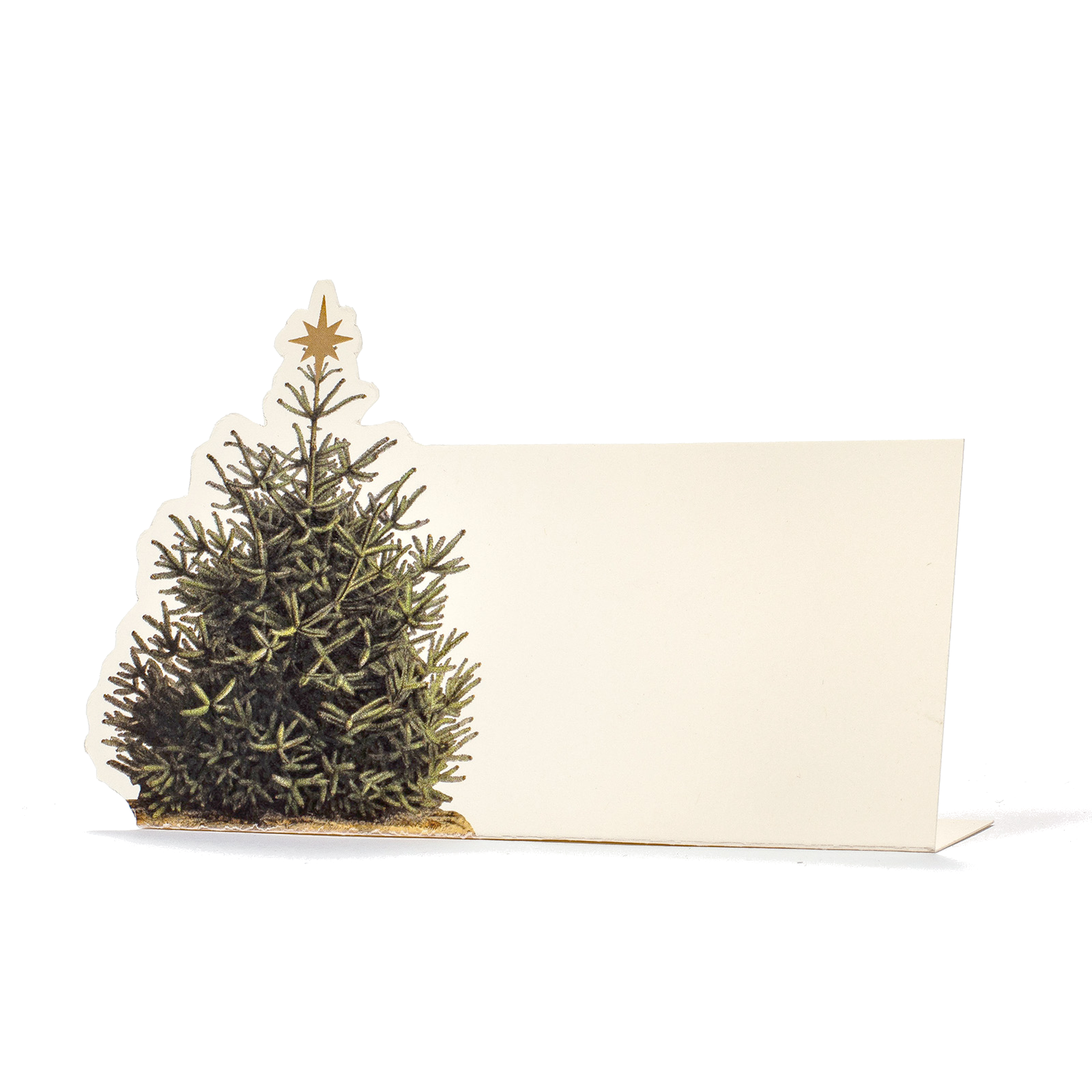 Christmas Tree Place Card