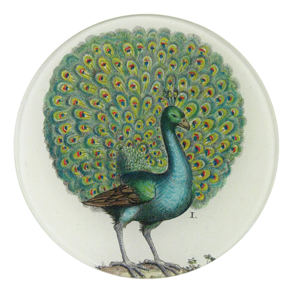 Coy Peacock 5 1/4" Round Plate