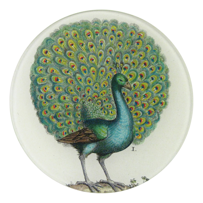 Coy Peacock 5 1/4" Round Plate