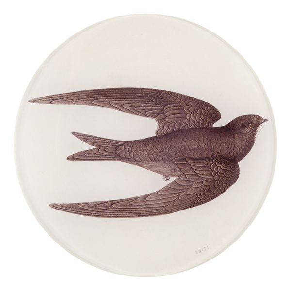 Swift Bird (Swallow) 5 1/4" Round Plate