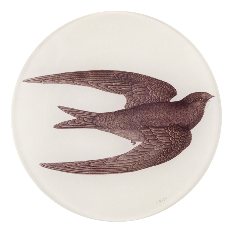 Swift Bird (Swallow) 5 1/4" Round Plate