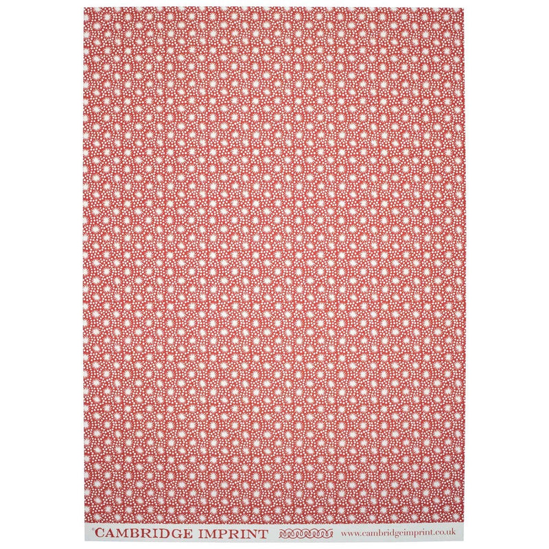 Patterned Paper Animalcules Crimson