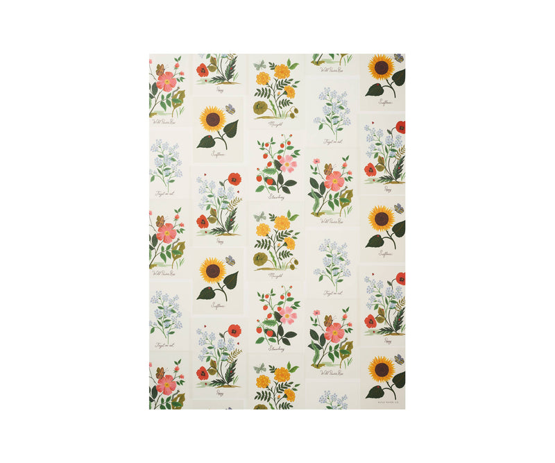 Botanical Wrapping Sheet (Roll of 3)
