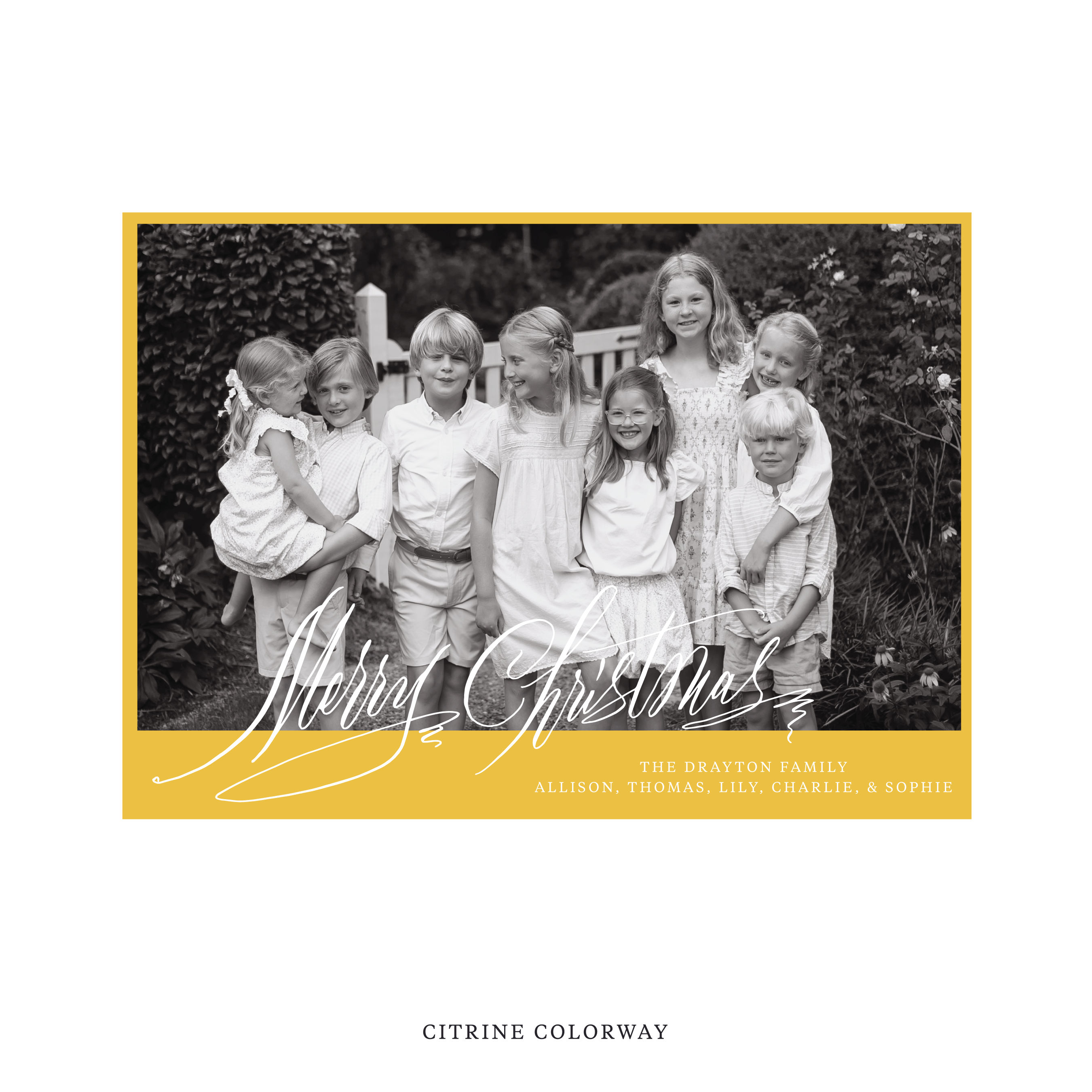 Celebrate the season with the Aldridge Merry Christmas Holiday Card by Stovall Collection. Featuring original hand-lettered artwork, this luxury personalized photo mount holiday card is available in 22 thoughtfully curated flat printing colorways.