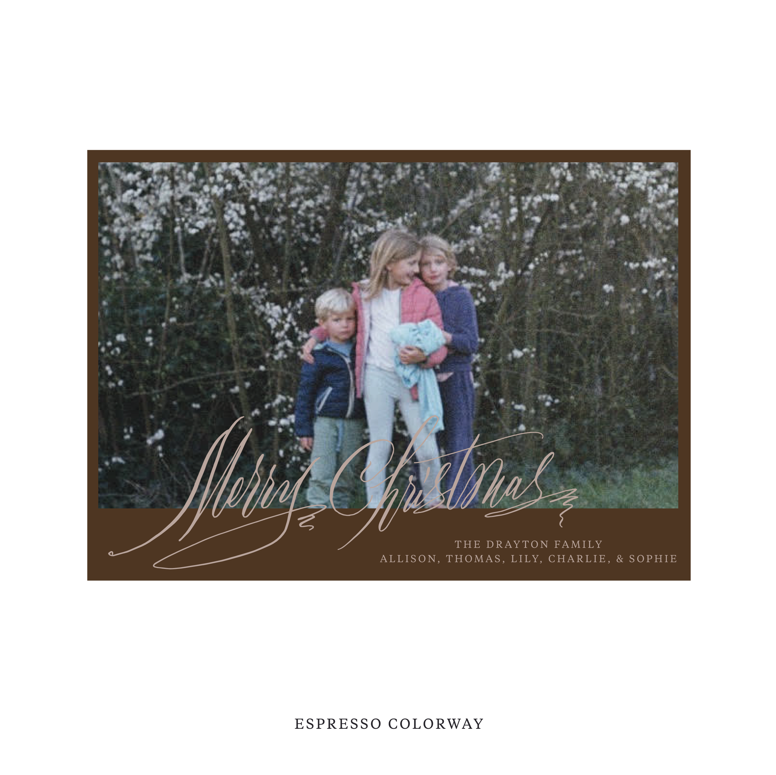 Celebrate the season with the Aldridge Merry Christmas Holiday Card by Stovall Collection. Featuring original hand-lettered artwork, this luxury personalized photo mount holiday card is available in 22 thoughtfully curated flat printing colorways.