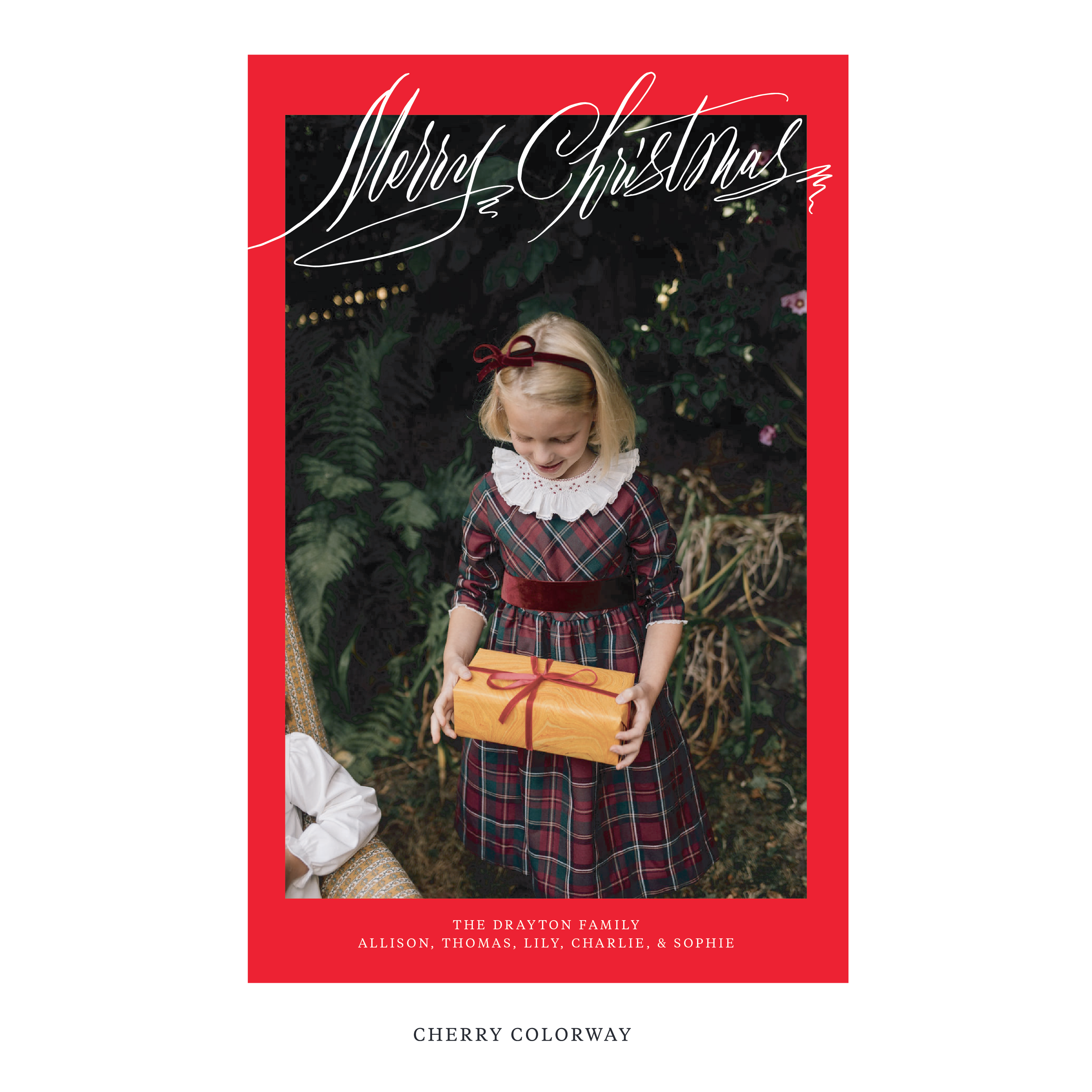 Aldridge Digital Photo Holiday Card, Extra Large