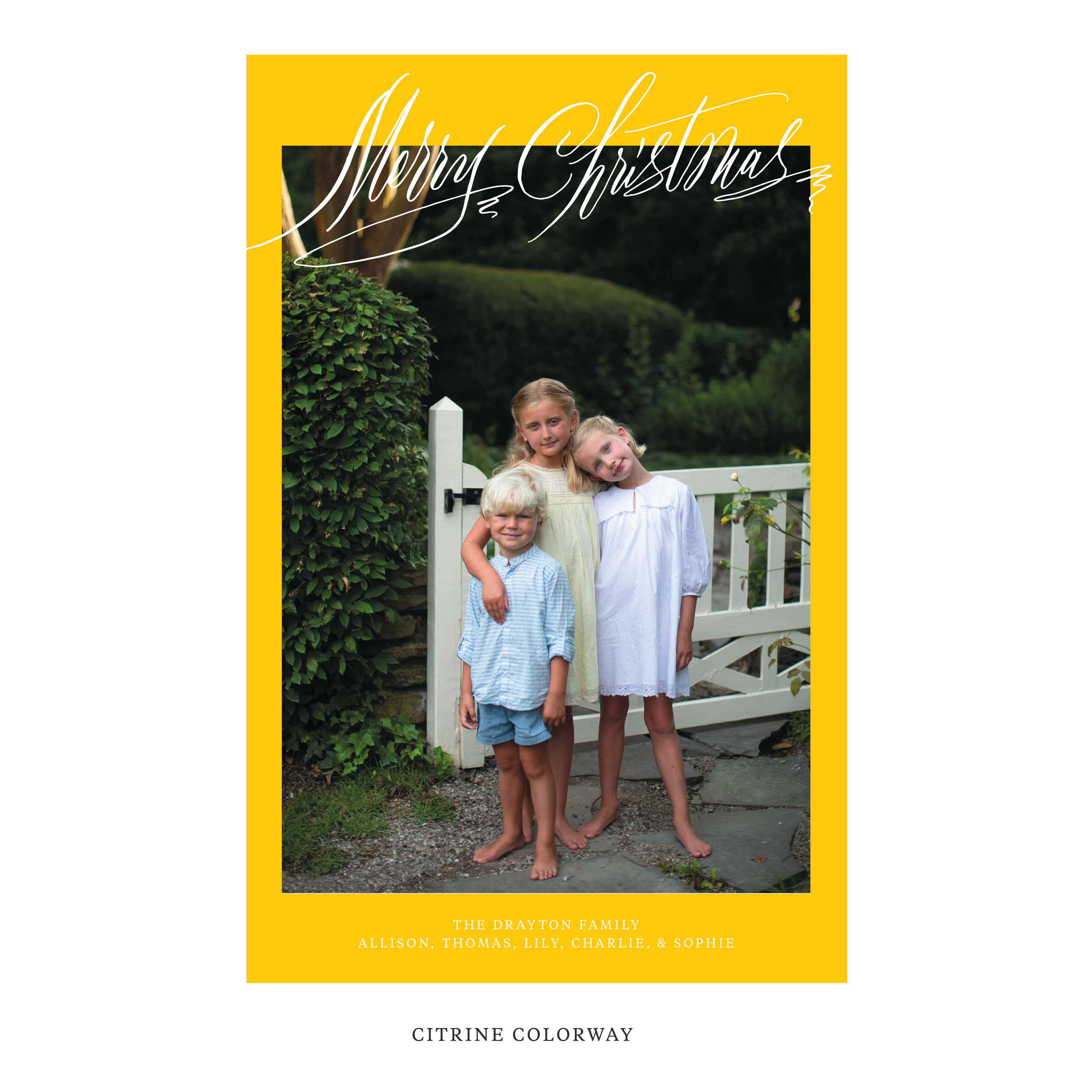 Aldridge Digital Photo Holiday Card, Extra Large