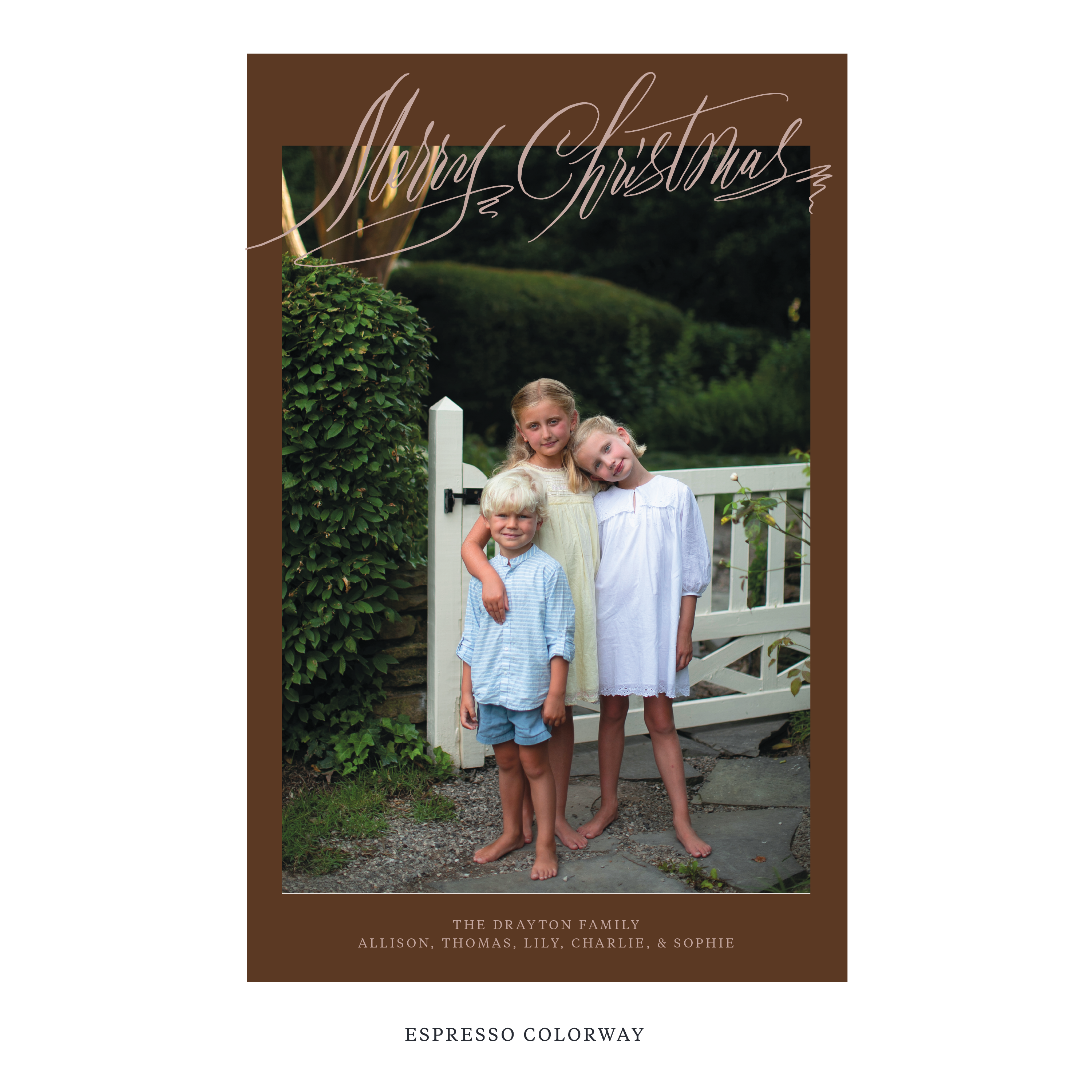 Aldridge Digital Photo Holiday Card, Extra Large