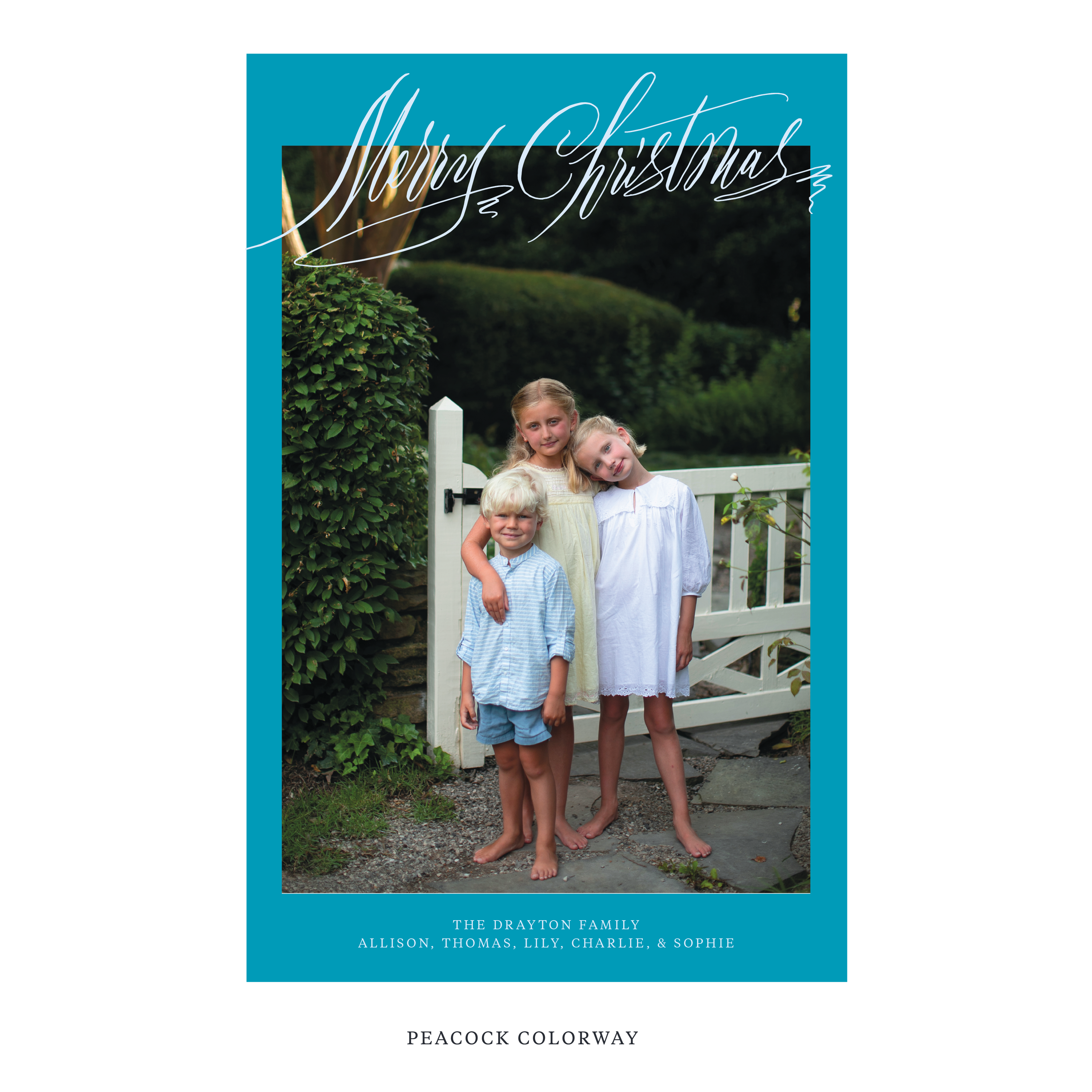 Aldridge Digital Photo Holiday Card, Extra Large