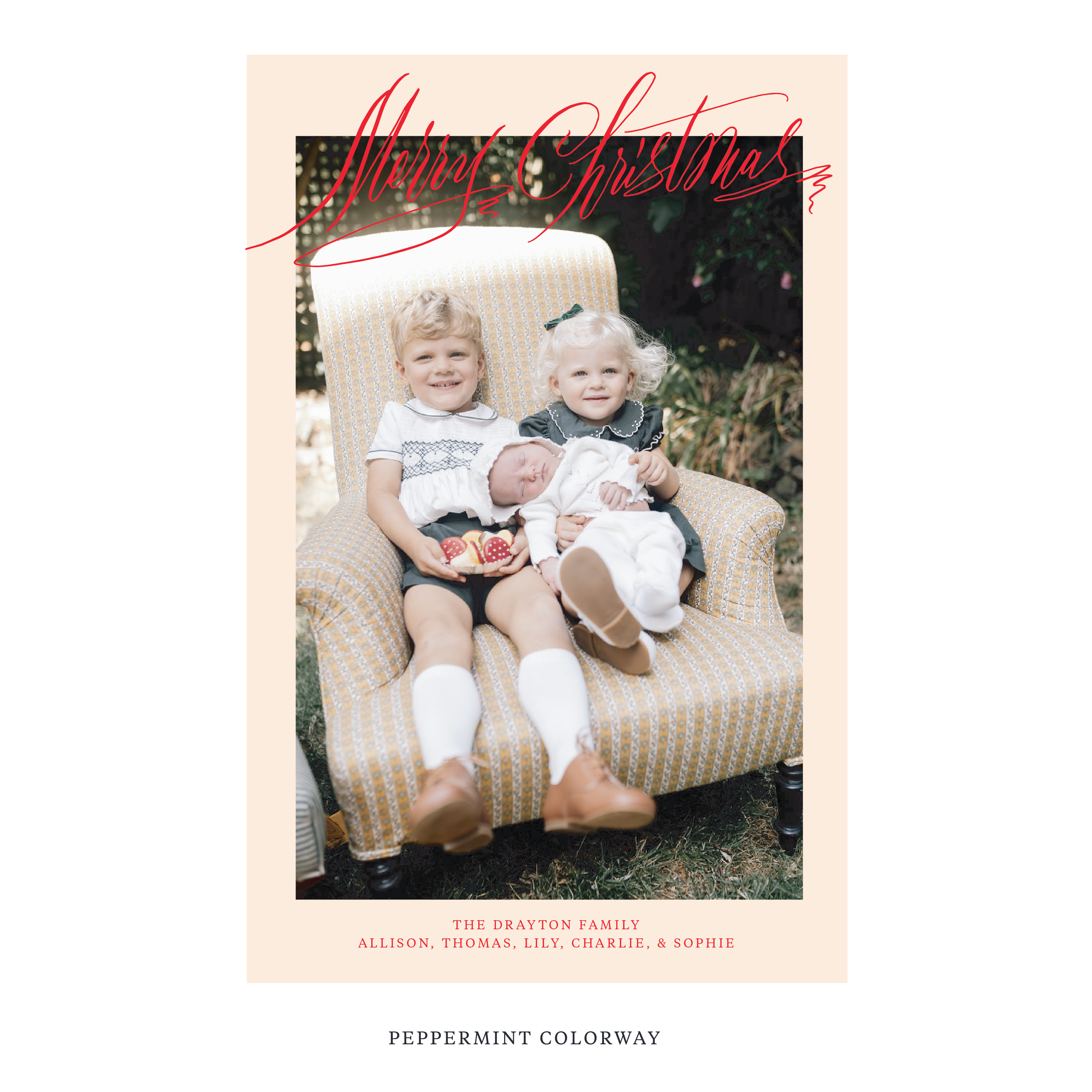 Aldridge Digital Photo Holiday Card, Extra Large