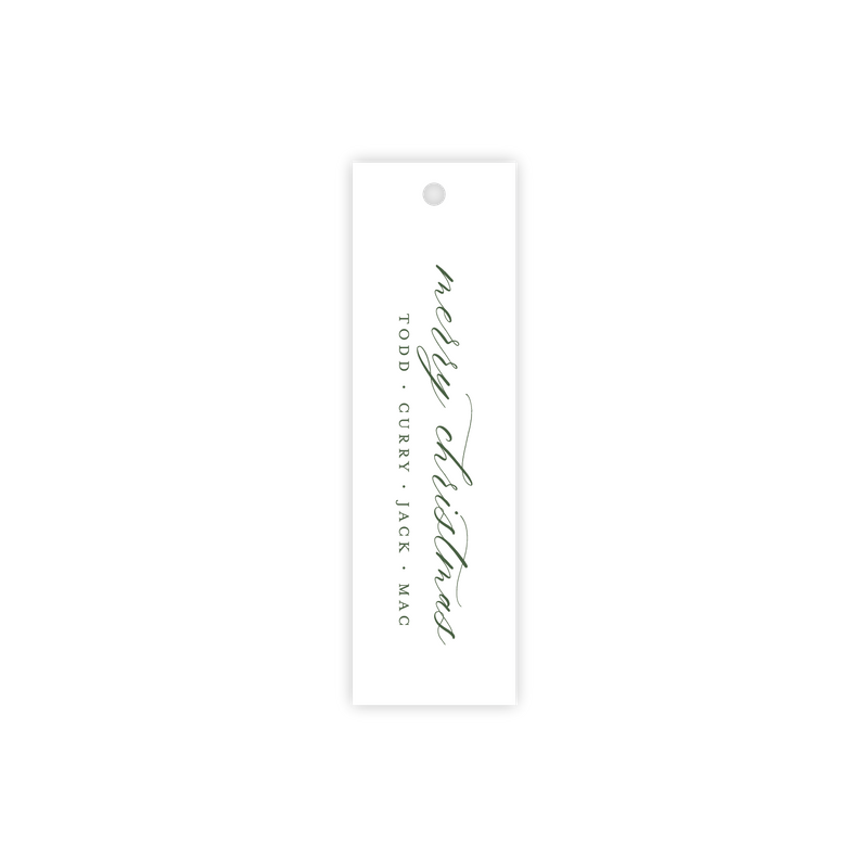 The Todd Merry Christmas Airy Script Family Tag