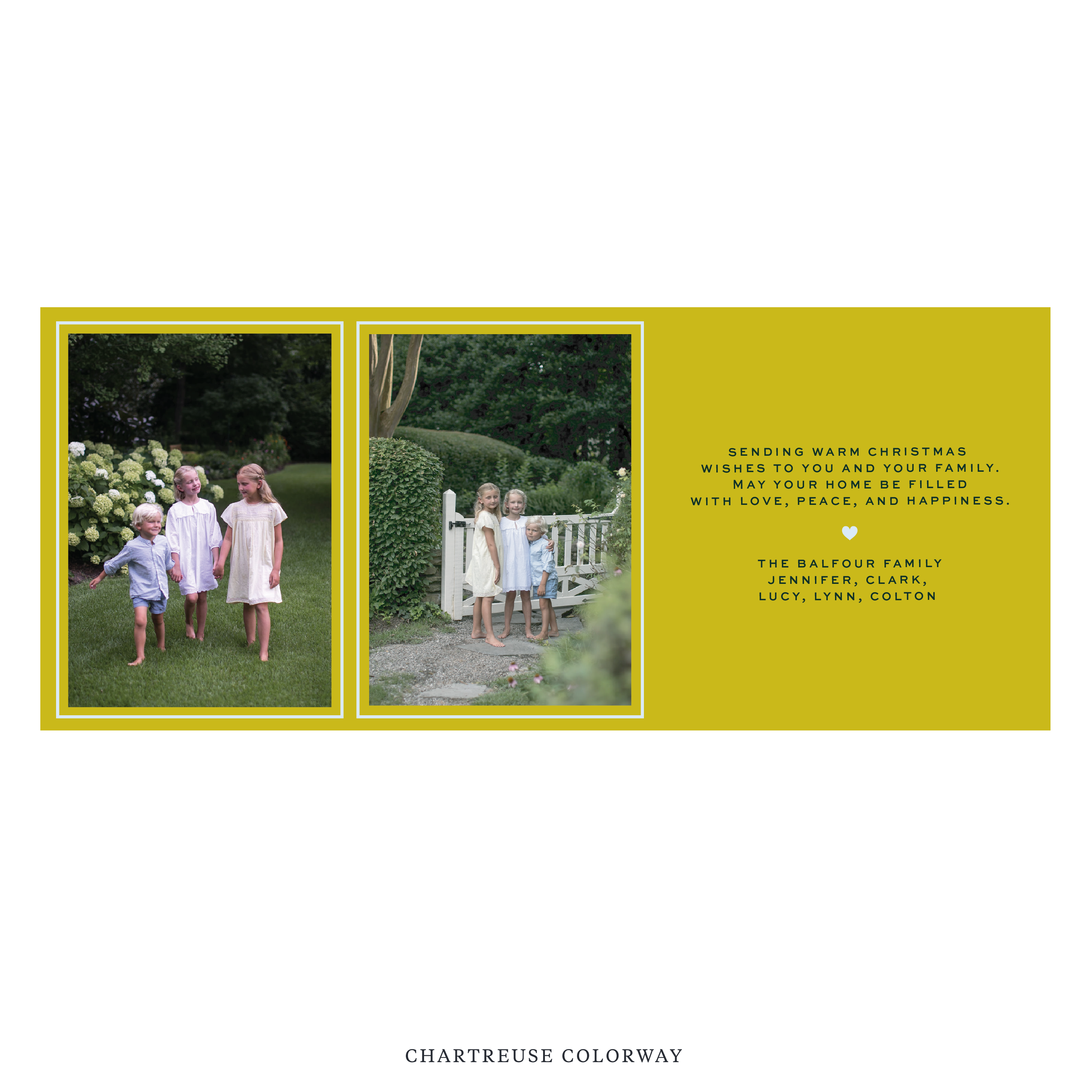 Balfour Digital Photo Holiday Card, Skinny