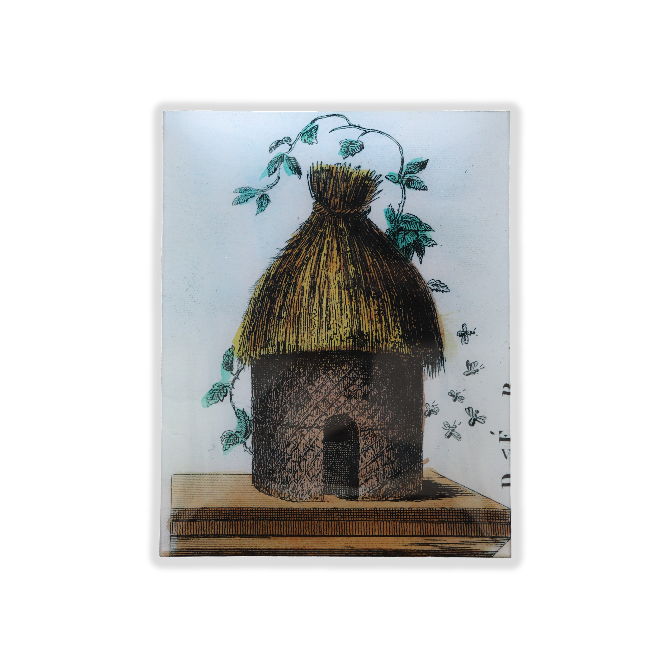 John Derian “Beehive” Rectangular Decoupage Tray