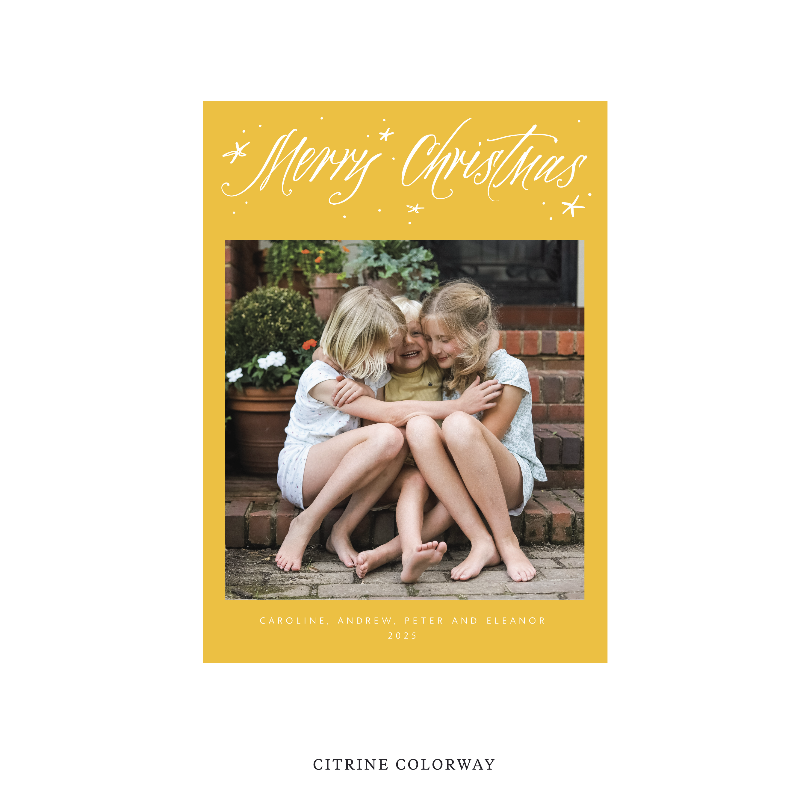 Berkeley Classic Flat Print Holiday Card, Medium II