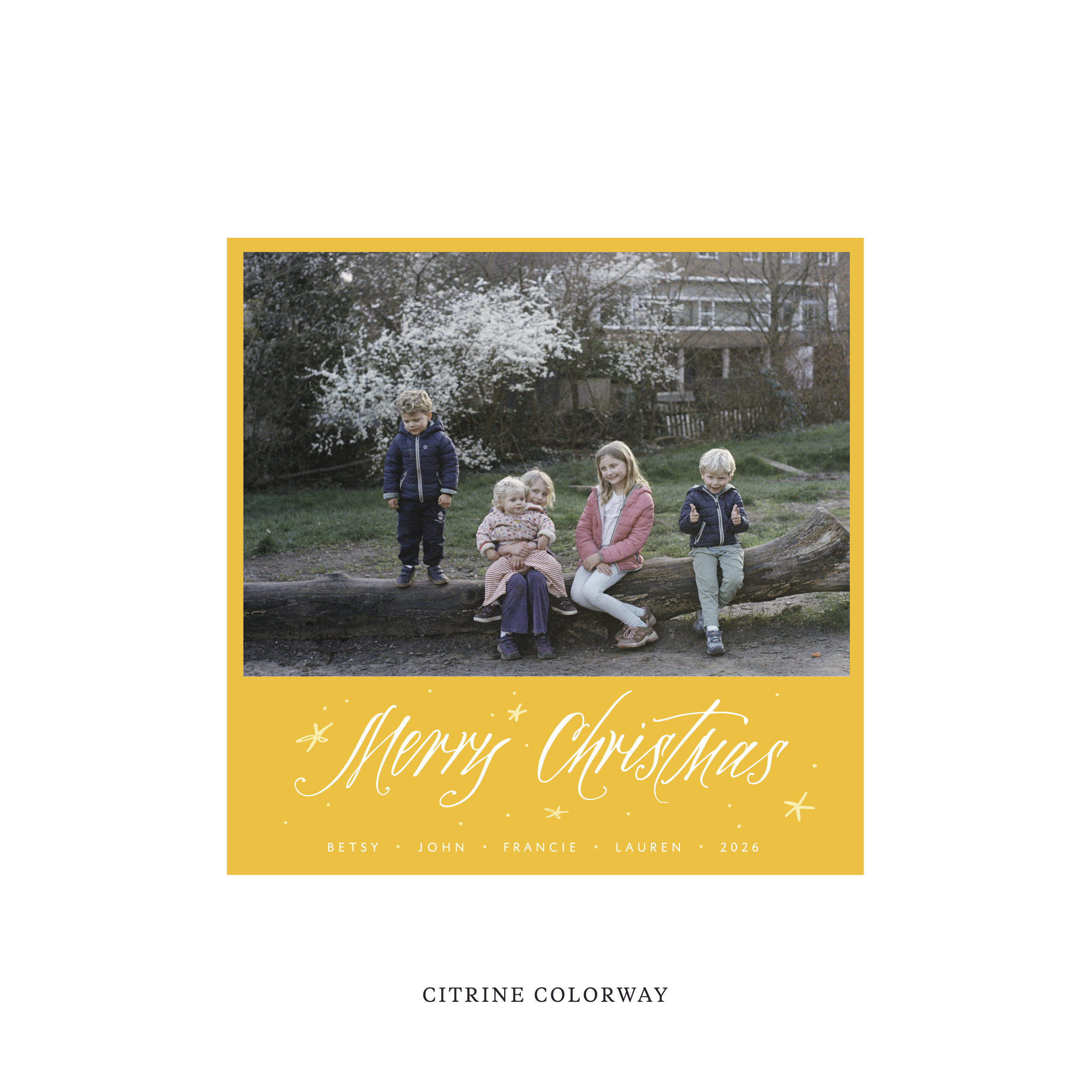 Berkeley Classic Flat Print Holiday Card, Square