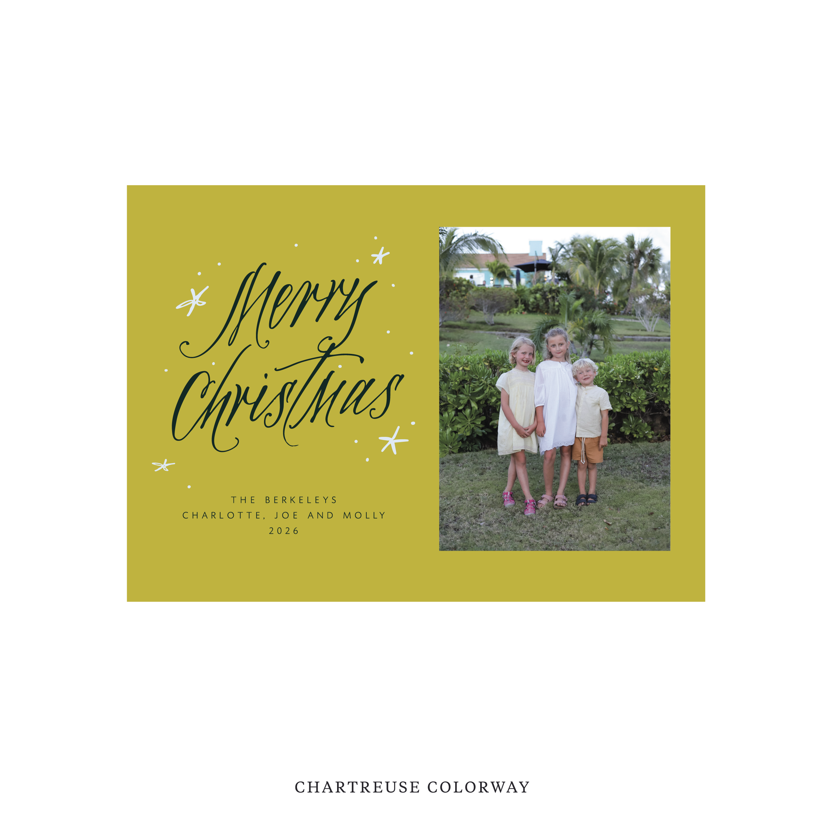 Berkeley Classic Flat Print Holiday Card, Medium