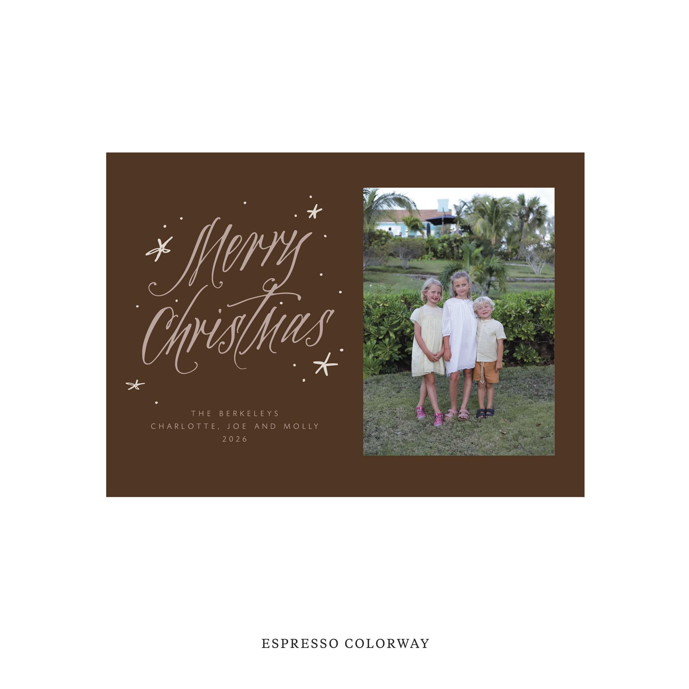Berkeley Classic Flat Print Holiday Card, Medium