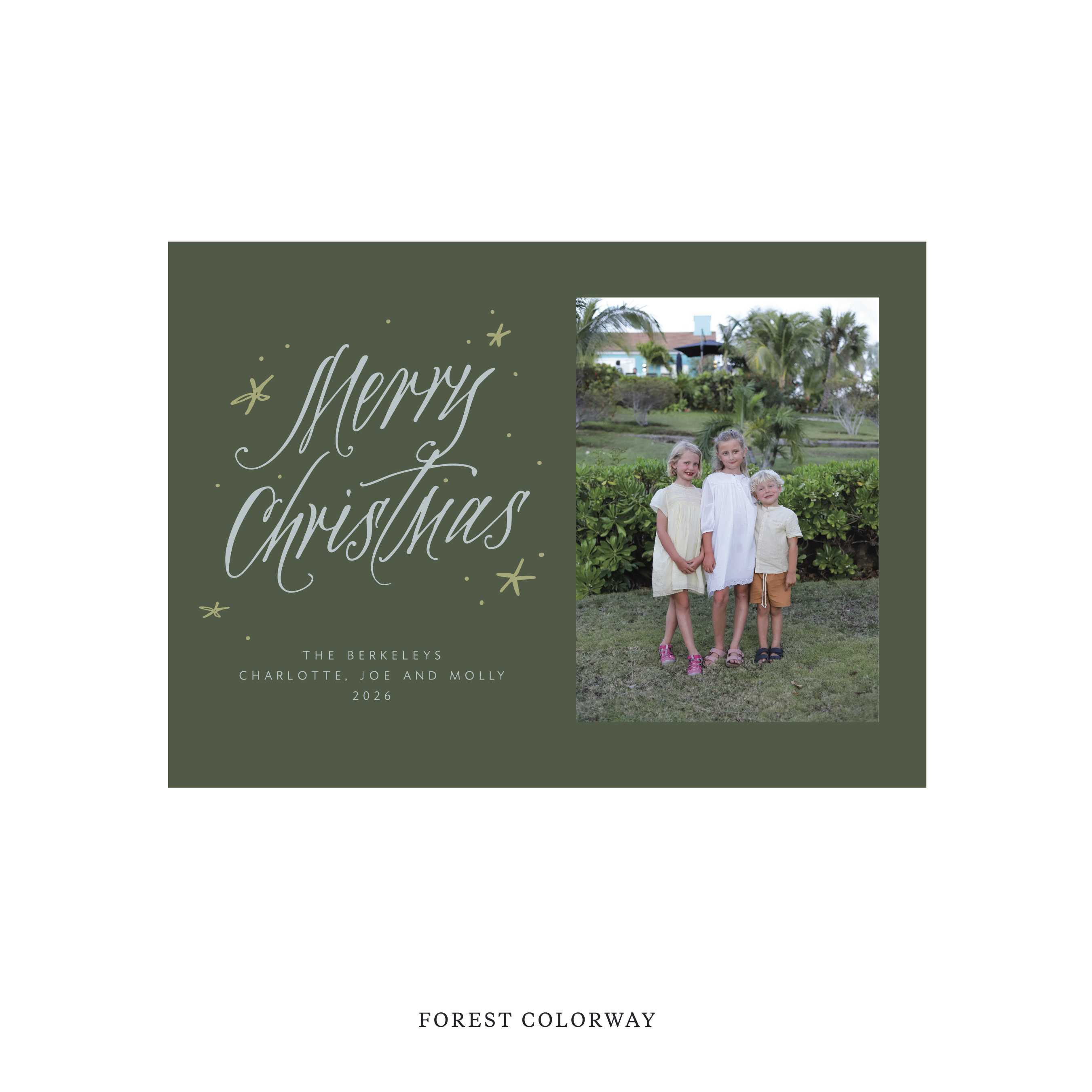 Berkeley Classic Flat Print Holiday Card, Medium