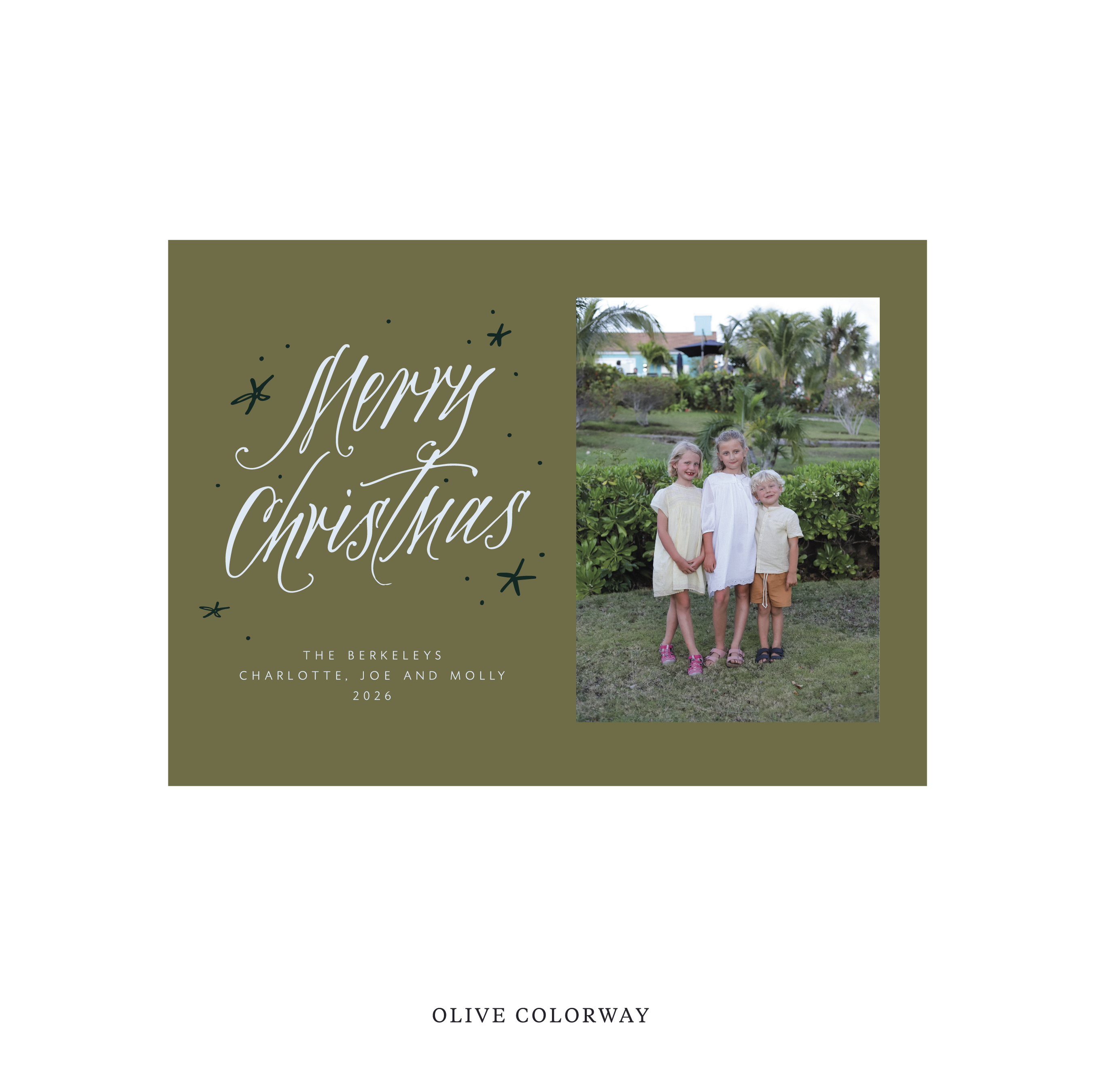 Berkeley Classic Flat Print Holiday Card, Medium
