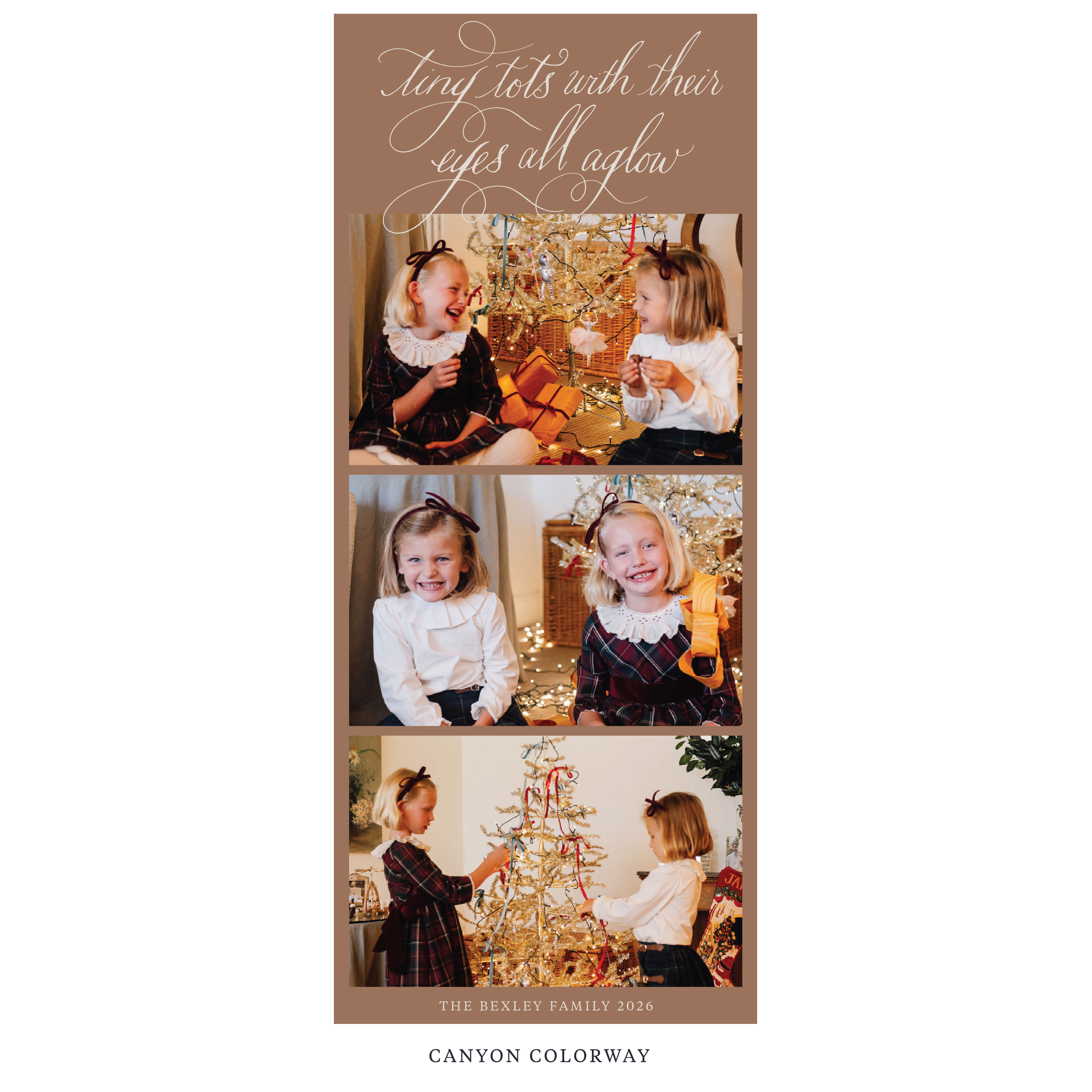 Bexley Digital Photo Holiday Card, Skinny