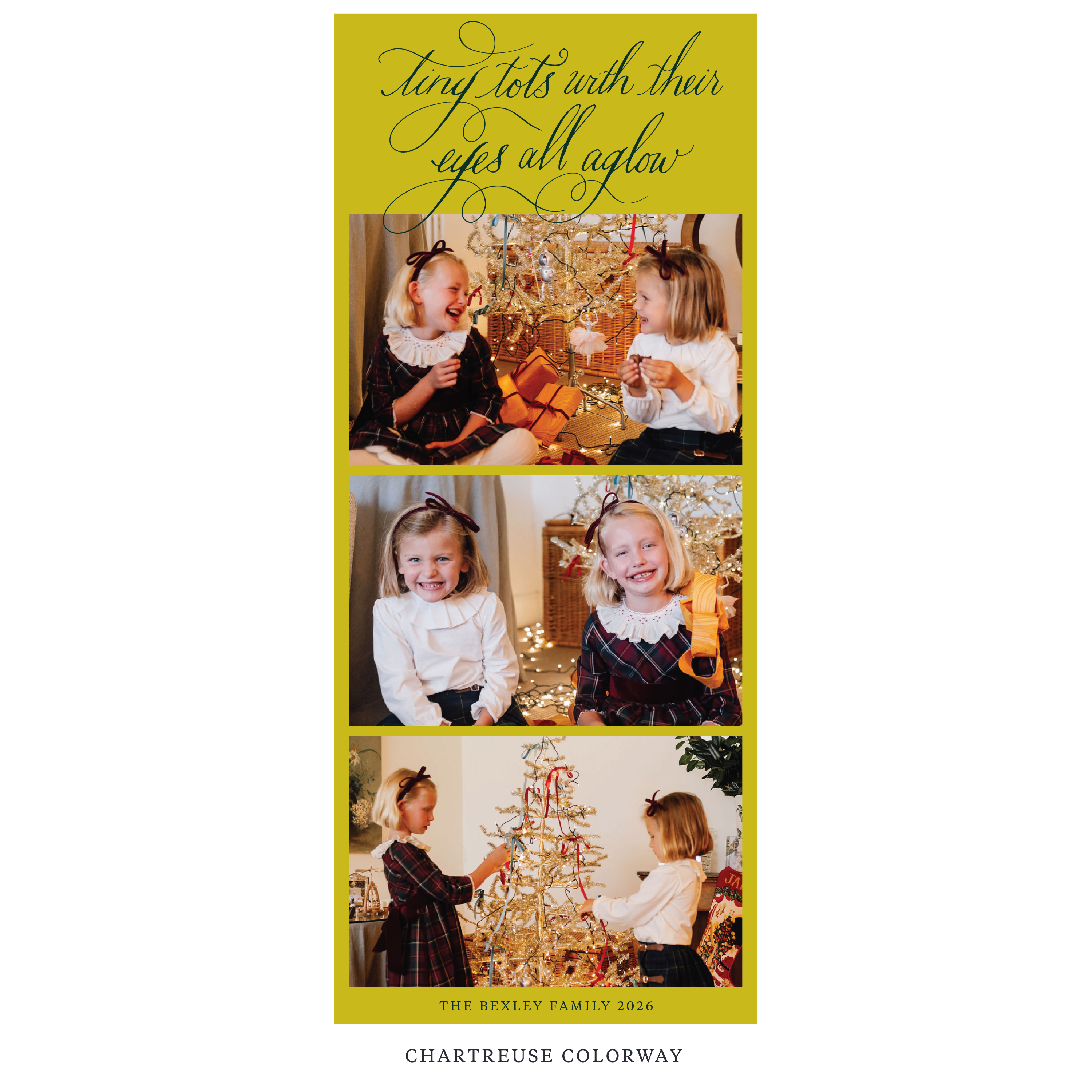 Bexley Digital Photo Holiday Card, Skinny