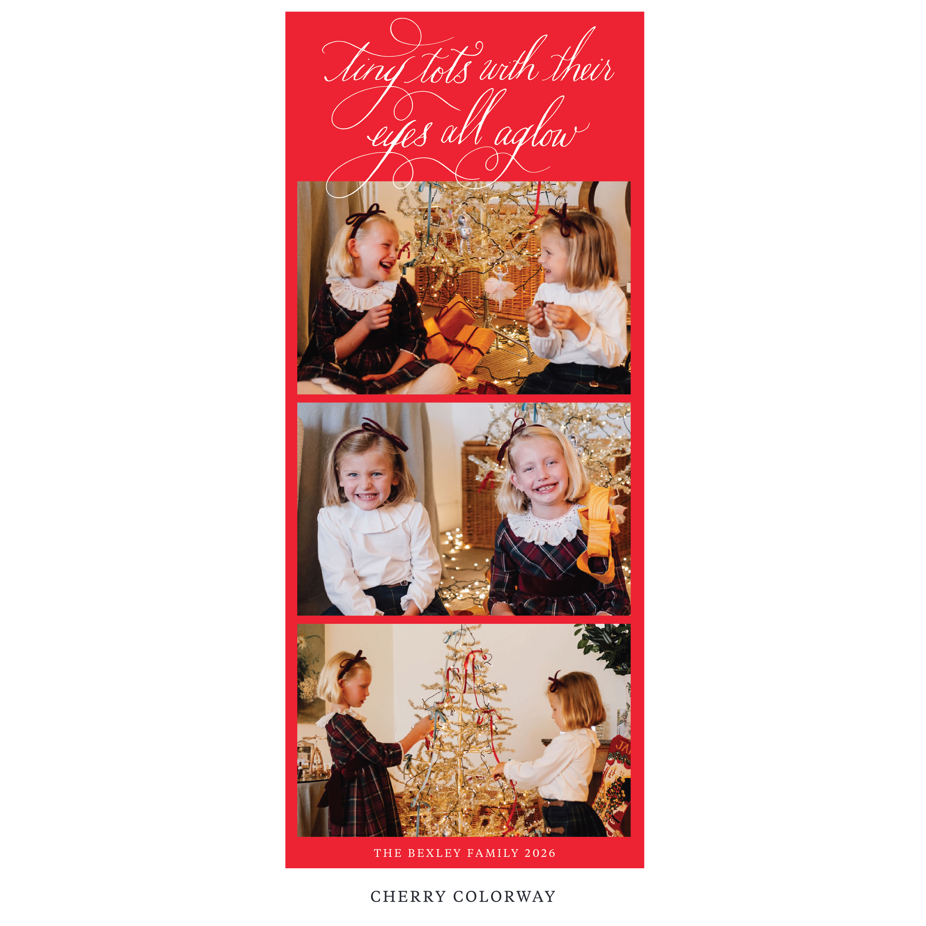 Bexley Digital Photo Holiday Card, Skinny