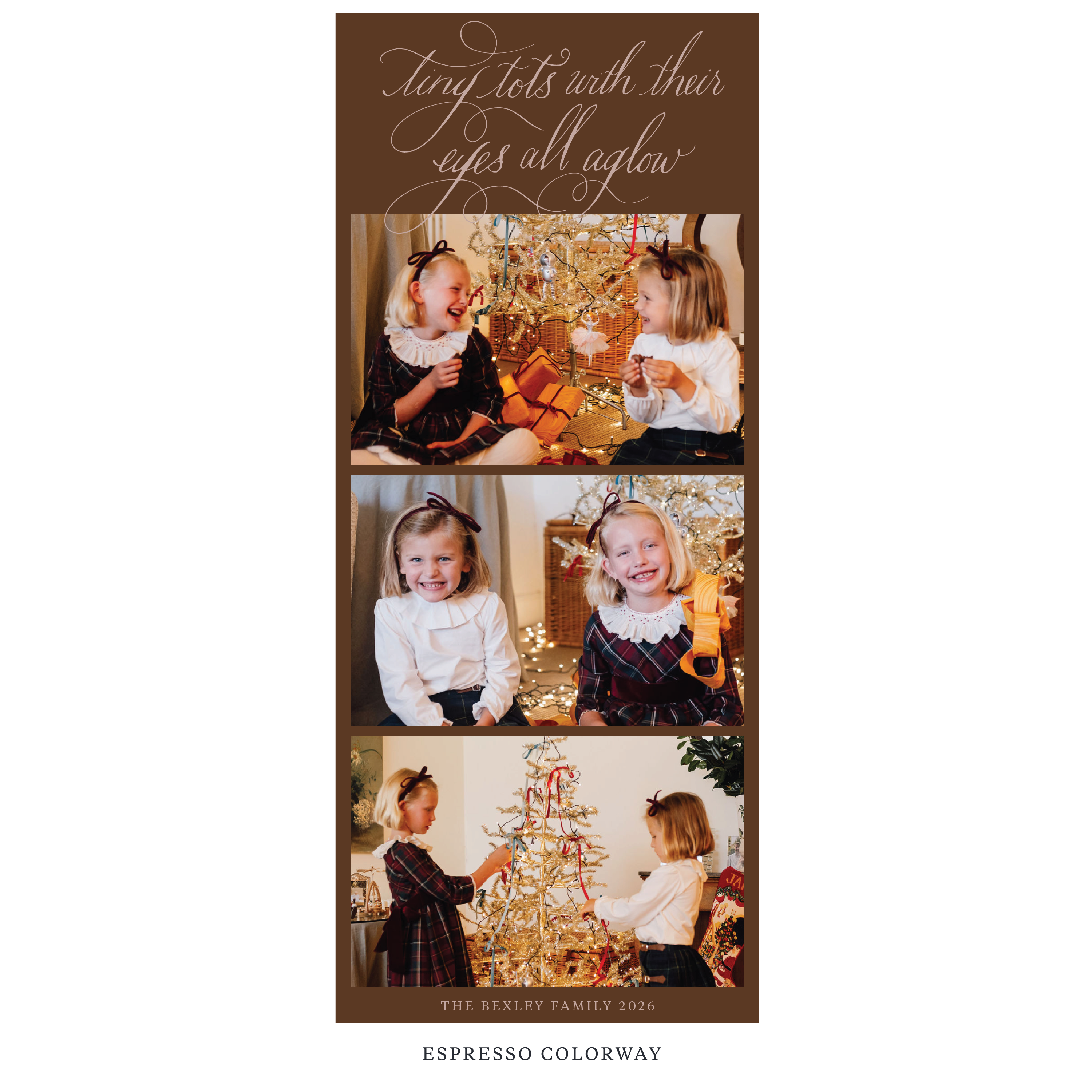 Bexley Digital Photo Holiday Card, Skinny