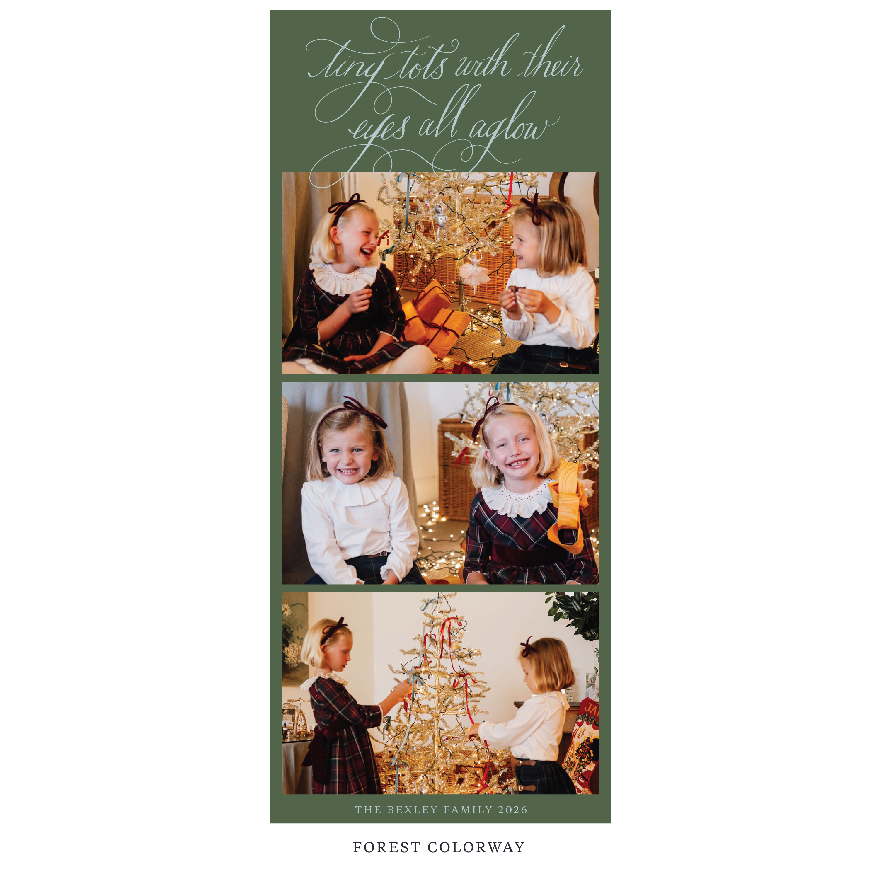 Bexley Digital Photo Holiday Card, Skinny