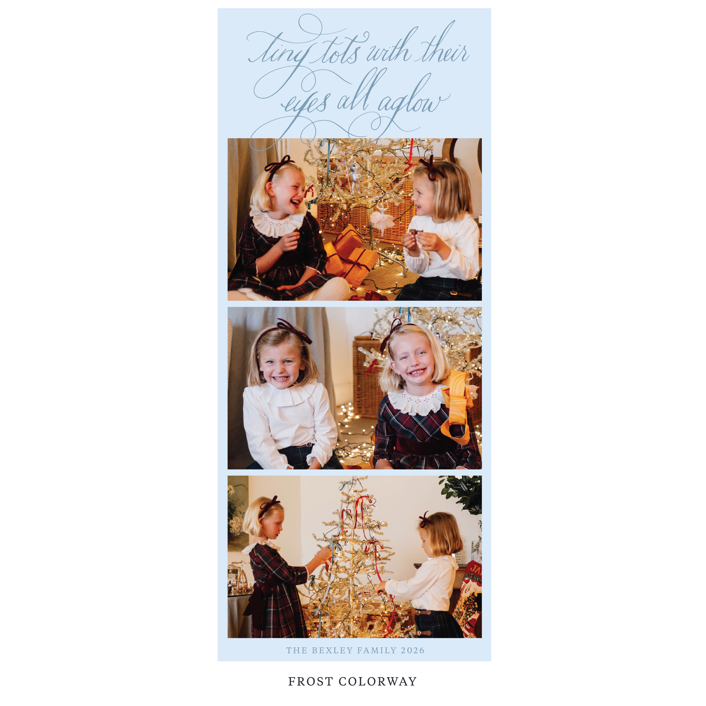 Bexley Digital Photo Holiday Card, Skinny