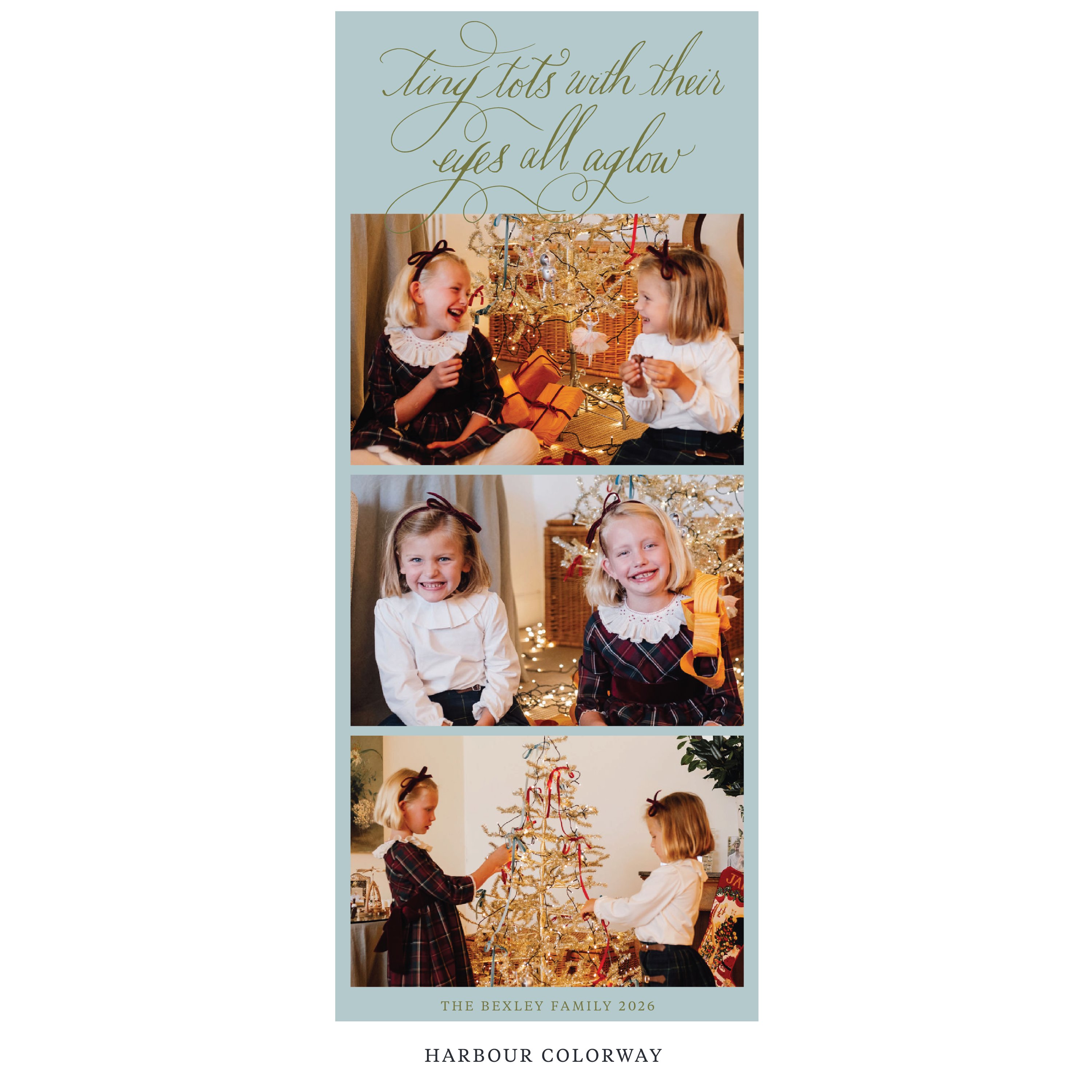 Bexley Digital Photo Holiday Card, Skinny