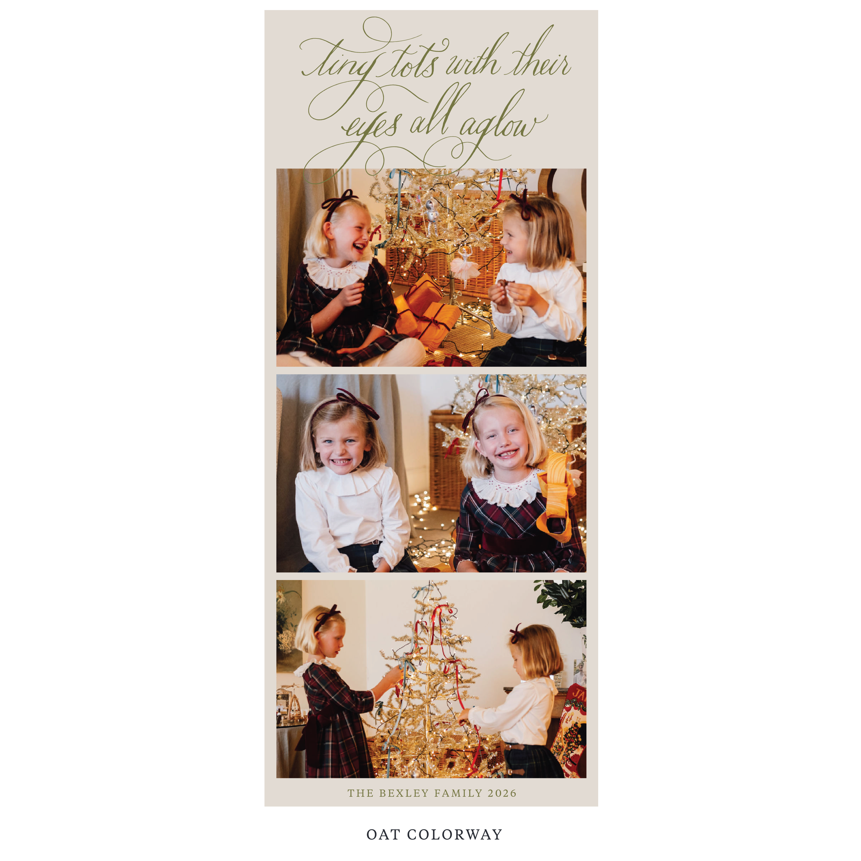 Bexley Digital Photo Holiday Card, Skinny
