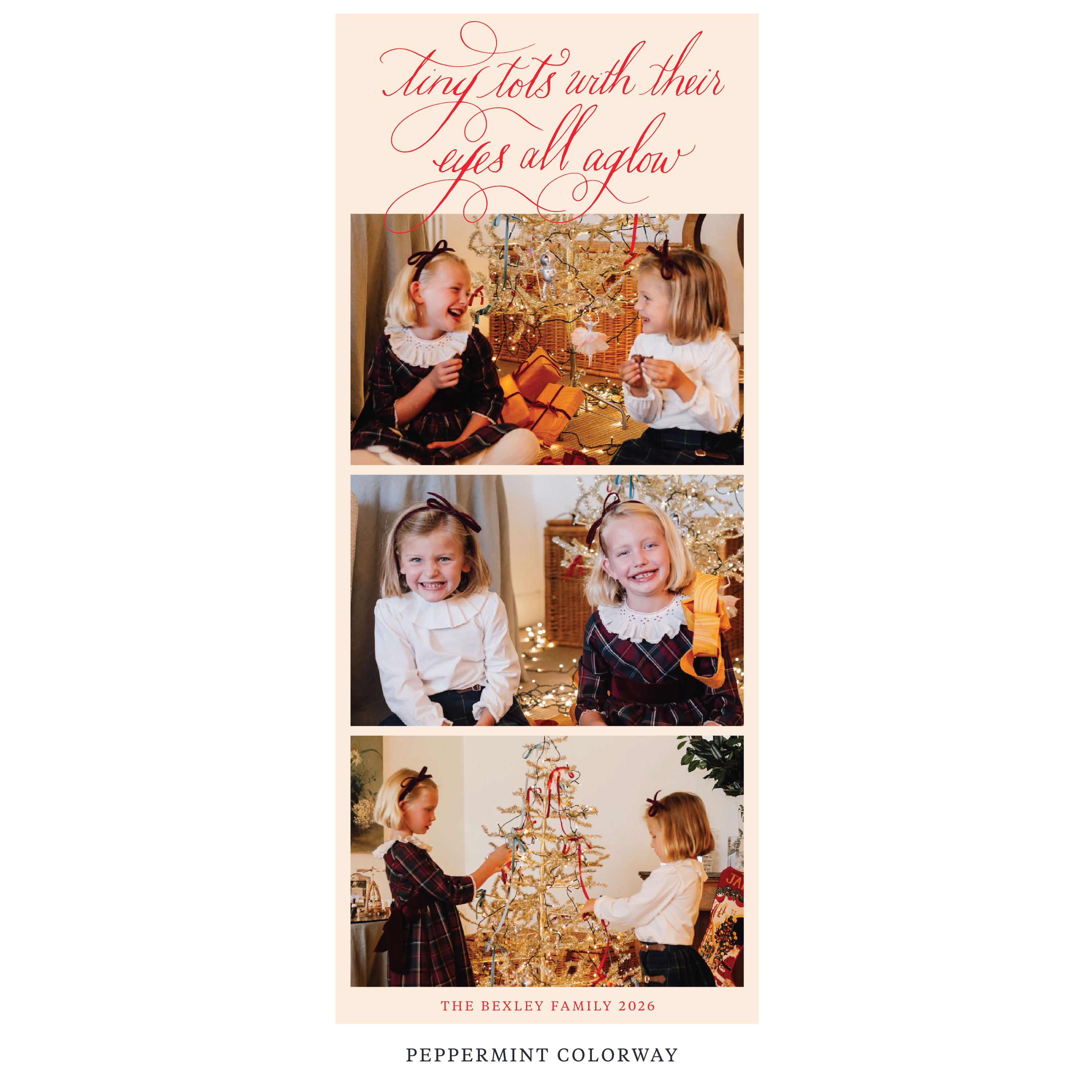 Bexley Digital Photo Holiday Card, Skinny